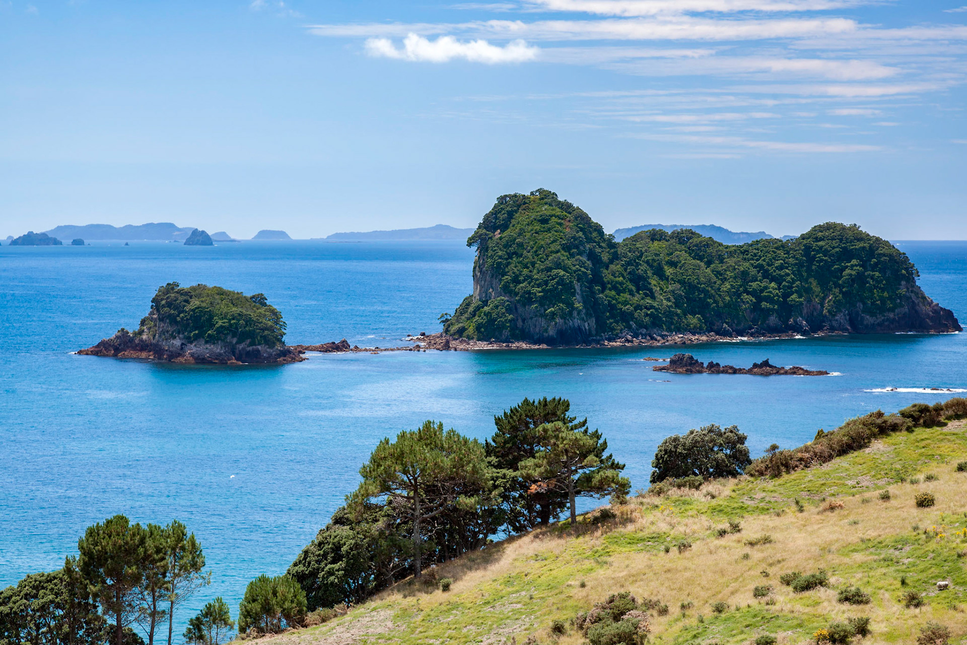 Coromandel coastline