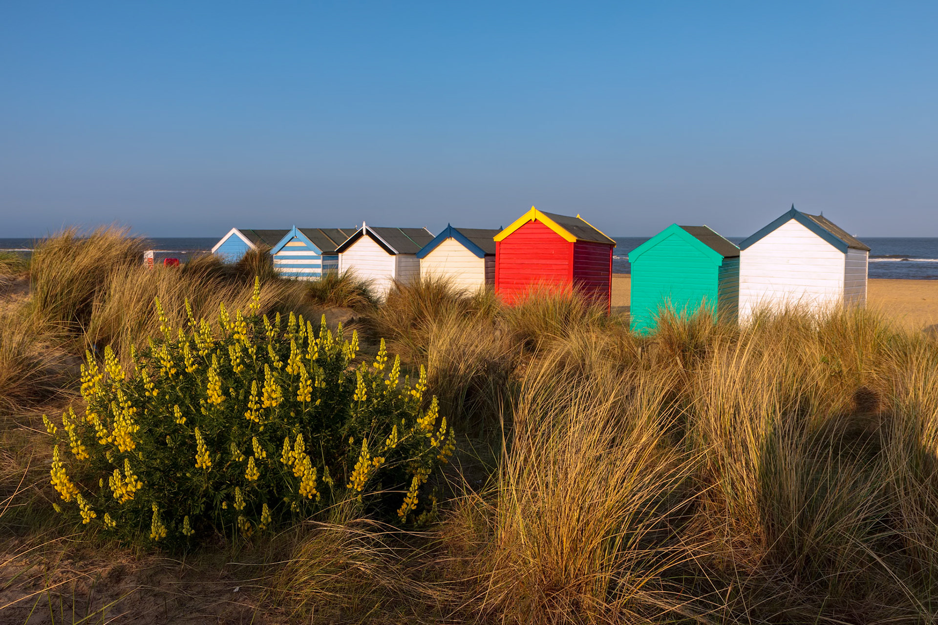 SOUTHWOLD, SUFFOLK, UK - MAY 31 : Colourful Beach huts in Southwold Suffolk on May 31, 2010