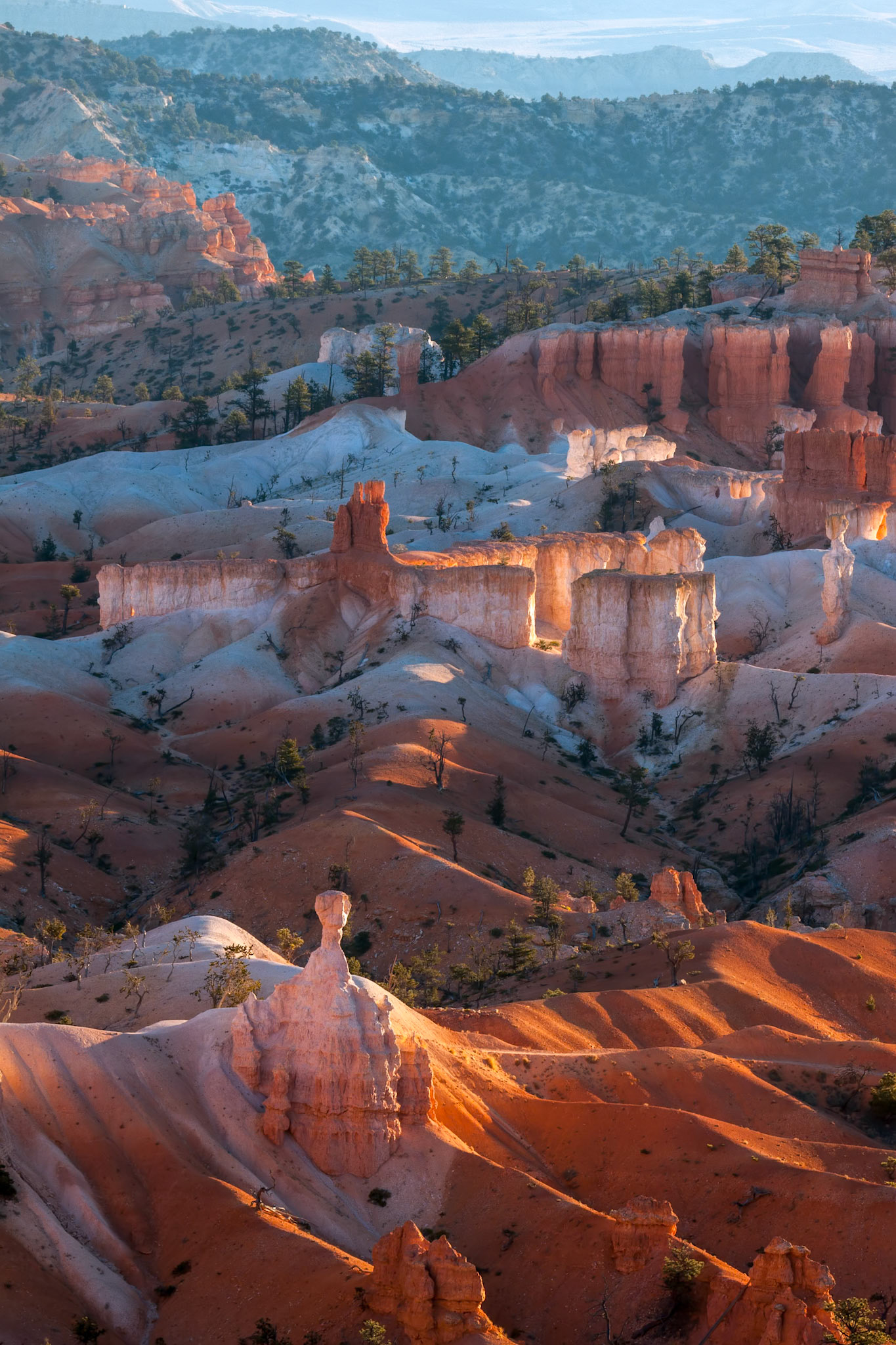 Scenic View of Bryce Canyon