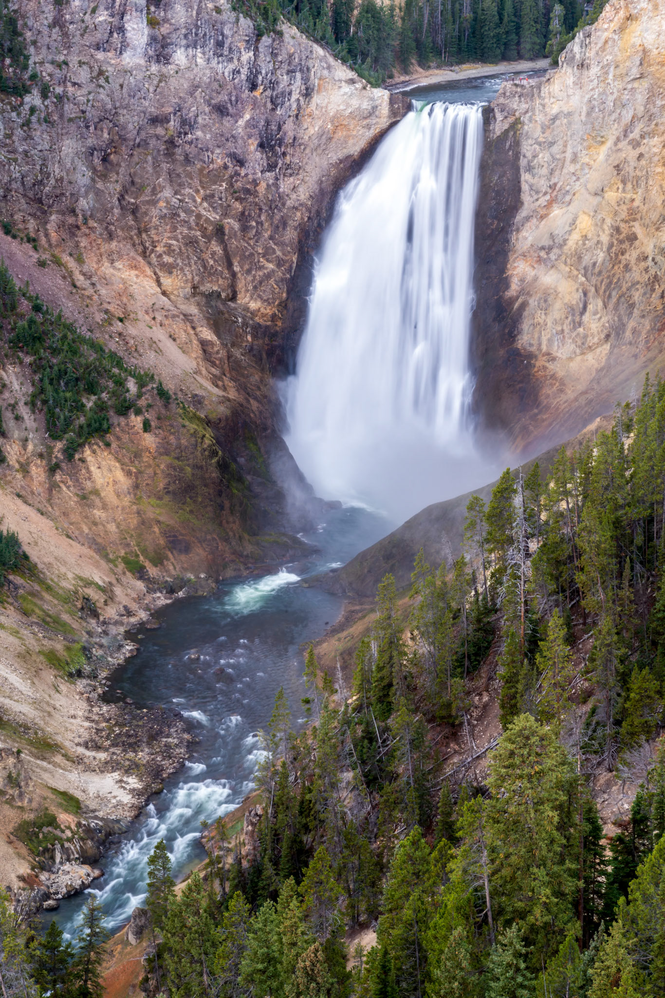 Lower Yellowstone Falls