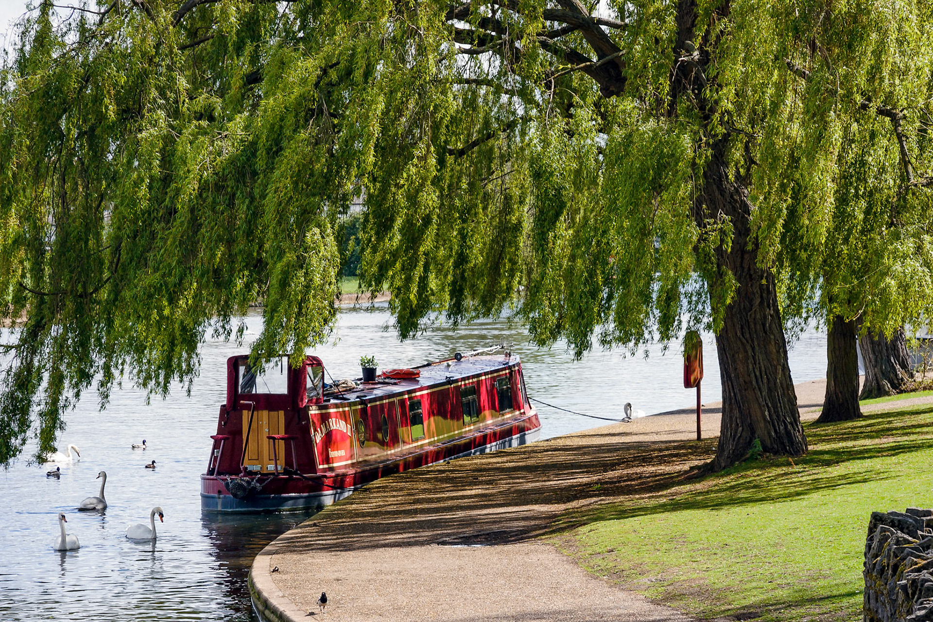 Narrow Boat Moored under a Willow Tree in Windsor