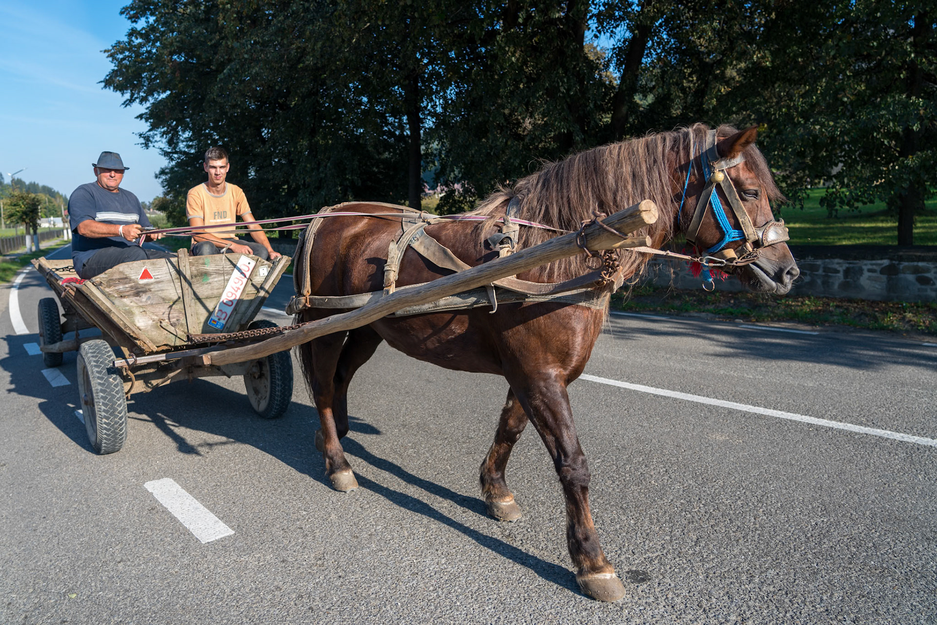 SUCEVITA, MOLDOVIA/ROMANIA - SEPTEMBER 18 : Two men with a horse and cart in Sucevita in Moldovia Romania on September 18, 2018. Two unidentified people