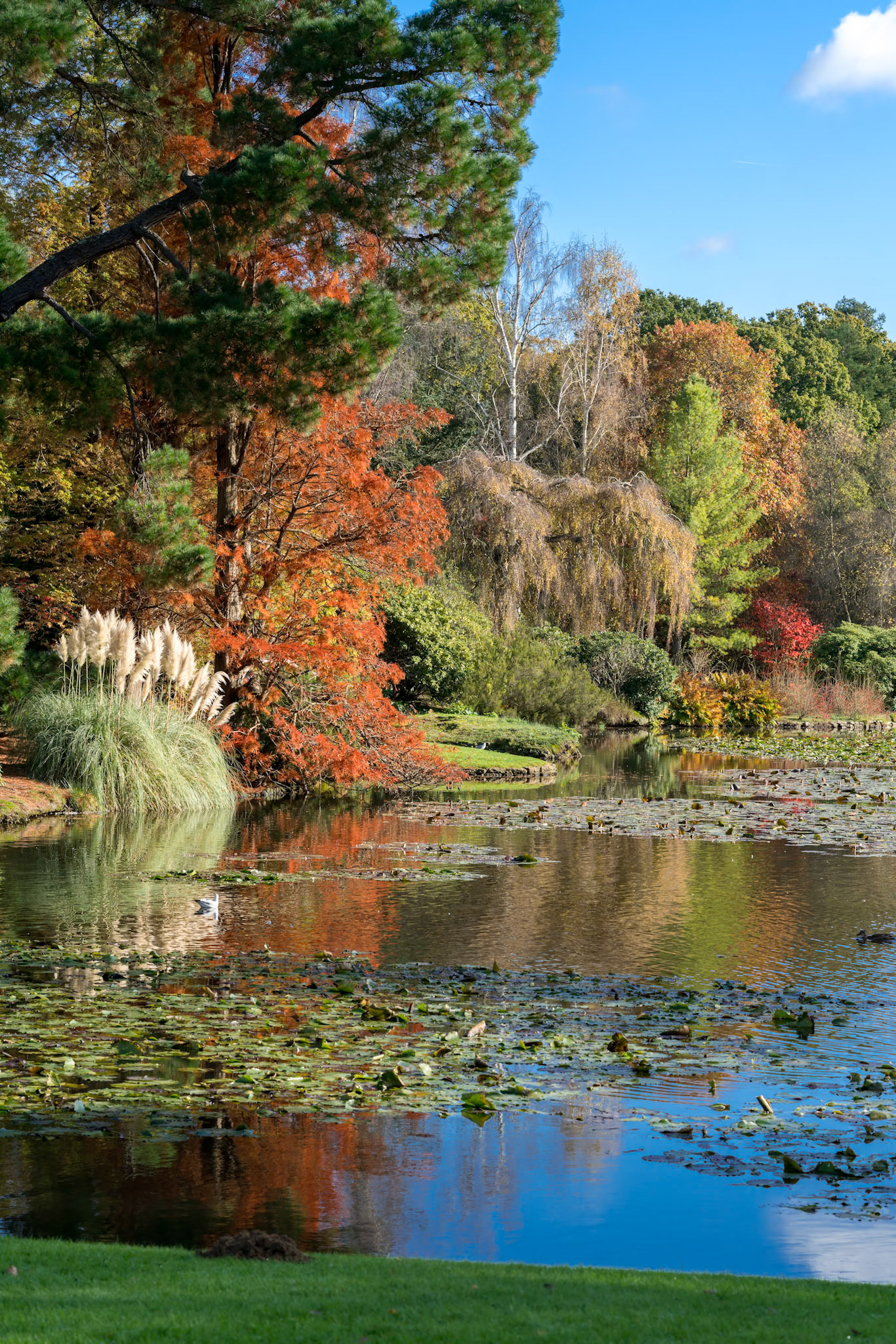 View of Sheffield Park Gardens in Autumn