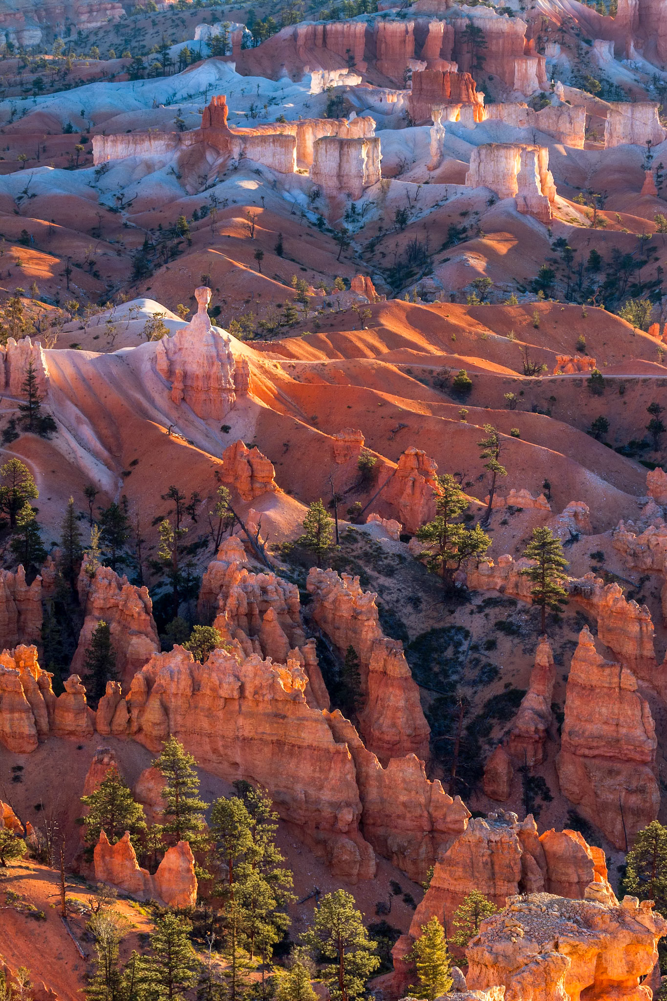 Scenic View of Bryce Canyon