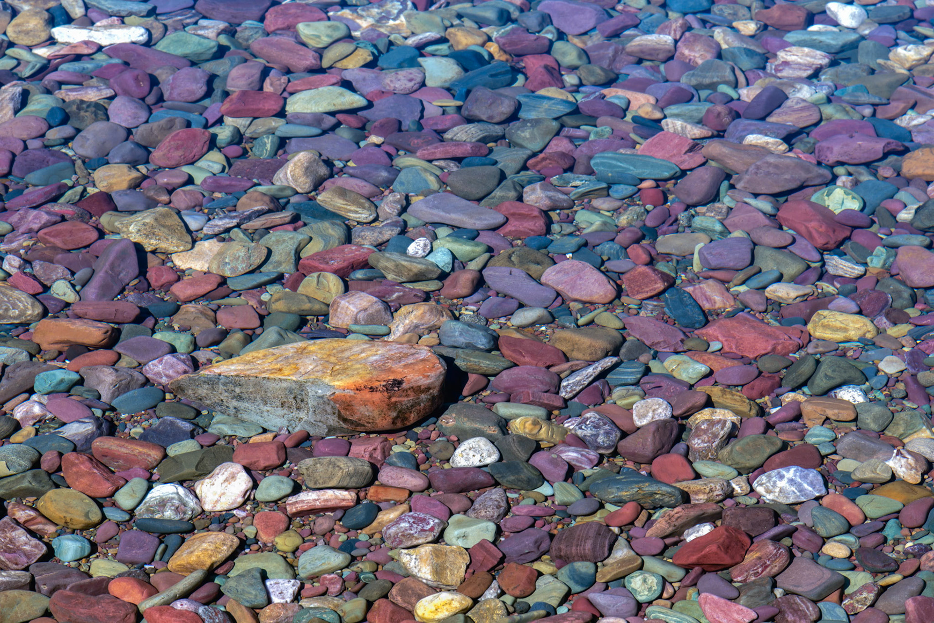 Colourful Stones in Lake McDonald