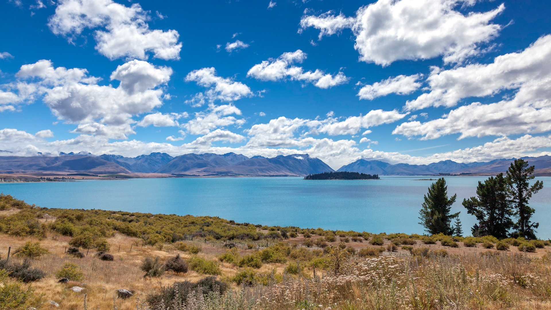 Scenic view of colourful Lake Tekapo in New Zealand