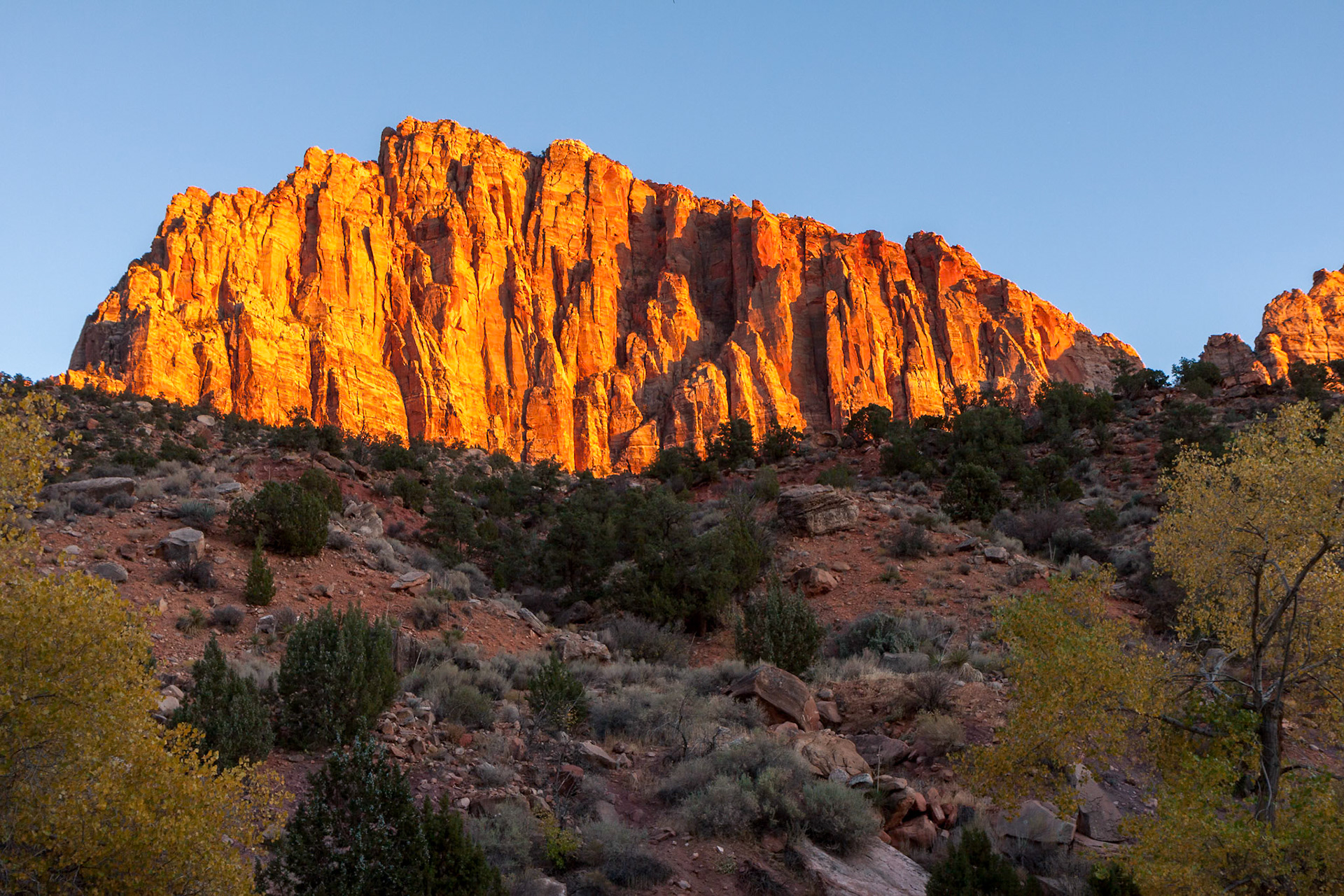 Glowing Rockface at Sunset in Zion National Park