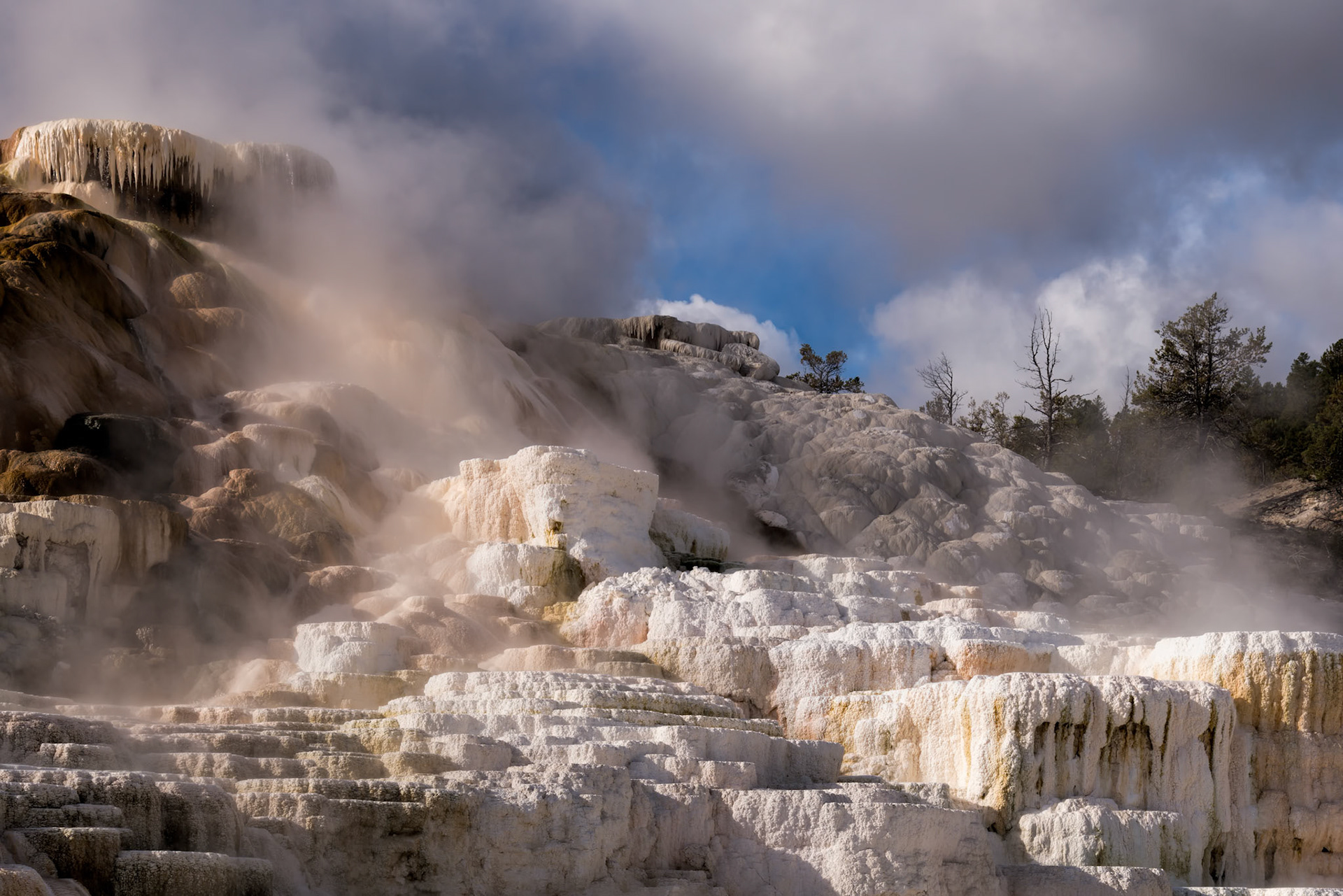Mammoth Hot Springs