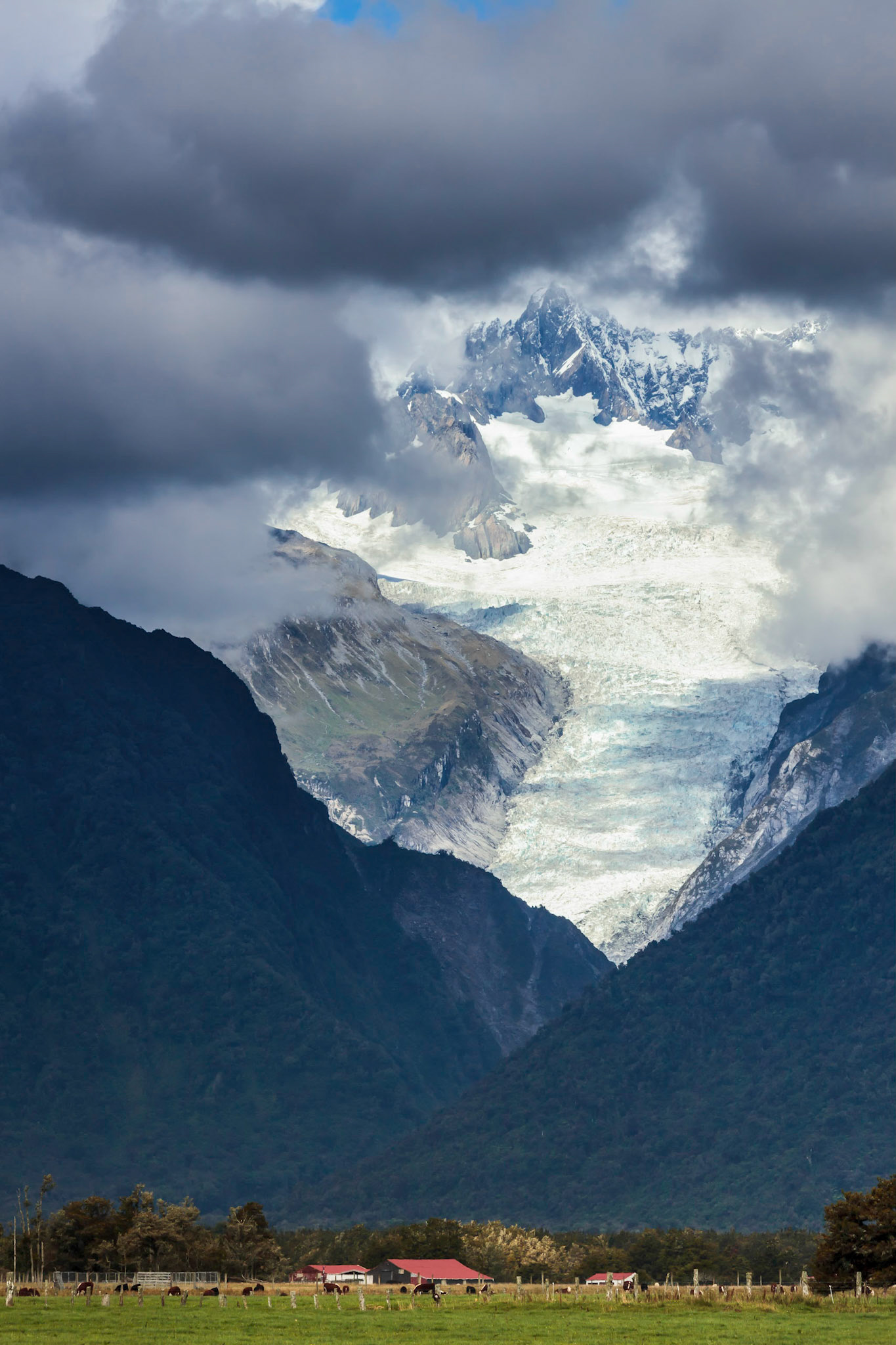Living in the Shadow of the Fox Glacier