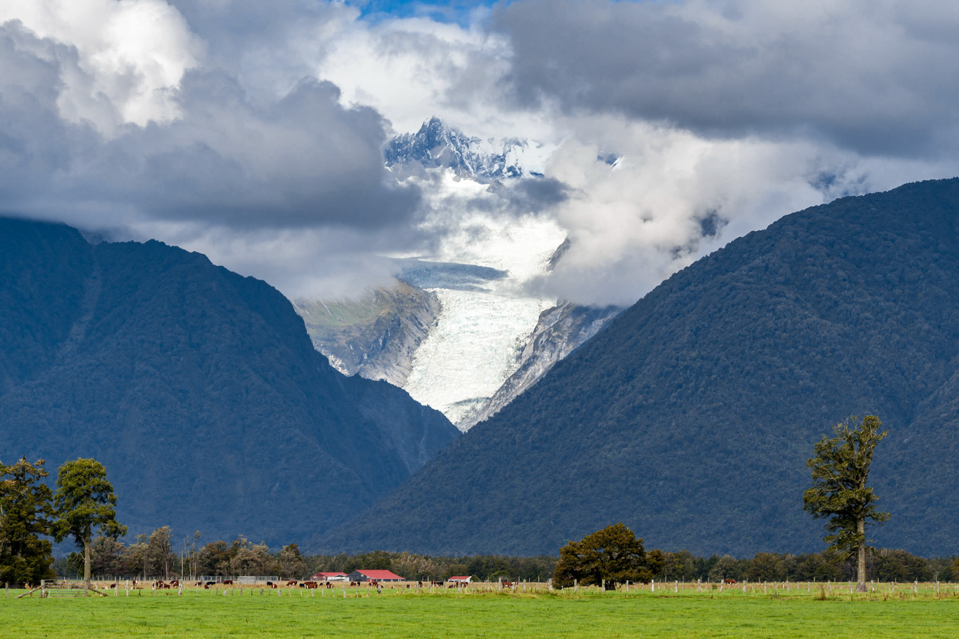 Fox Glacier