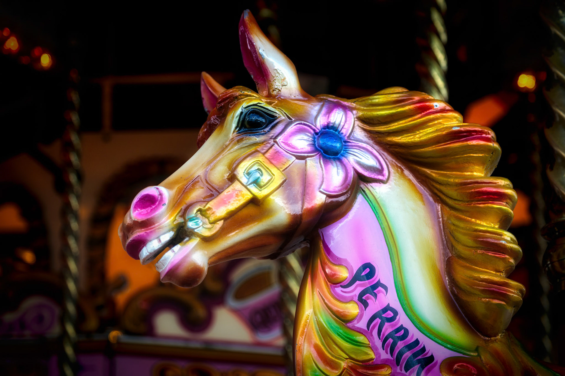 Close-up of a Horse on a Funfair Carousel Ride