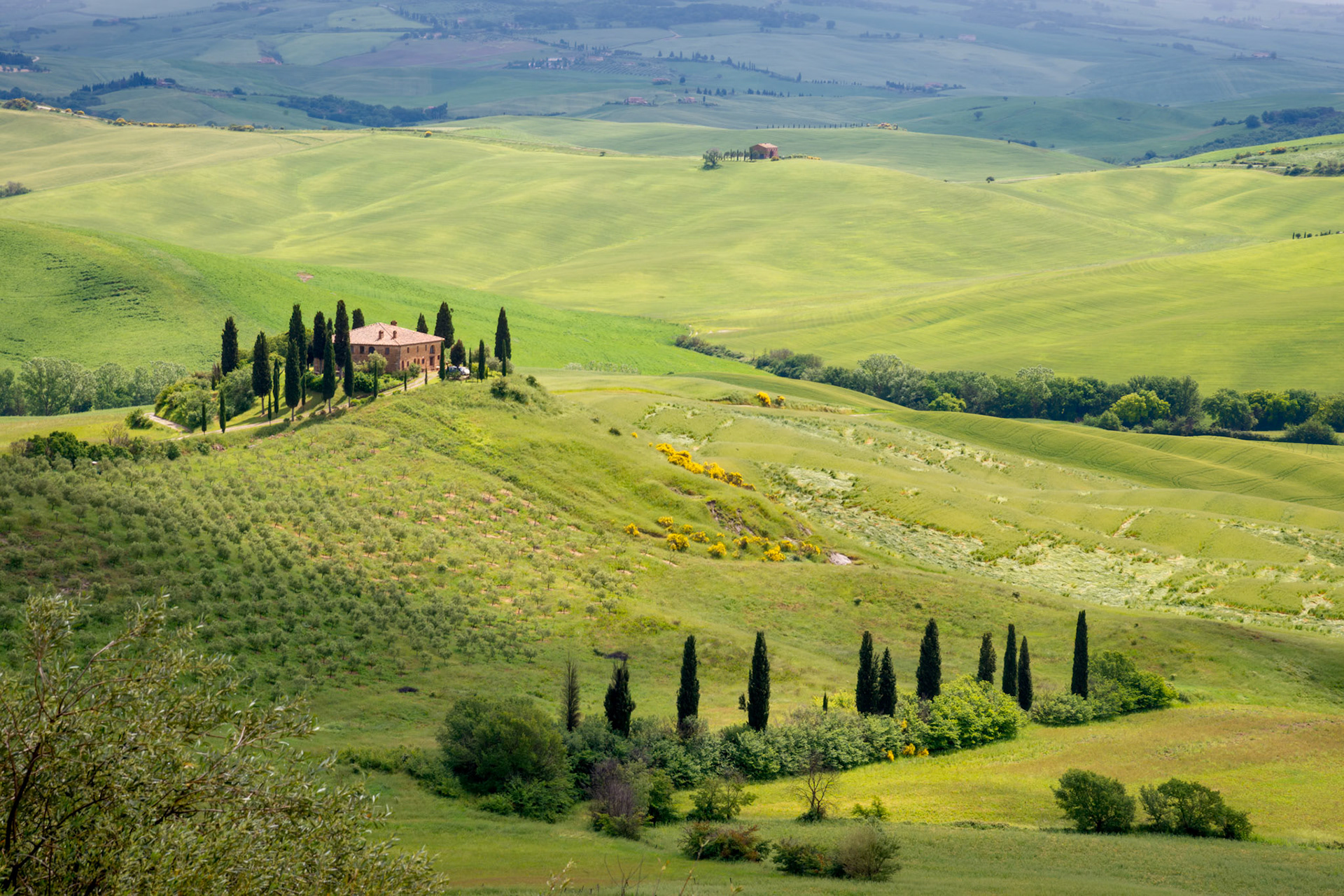 PIENZA, TUSCANY/ITALY - MAY 20 : Farmland near Pienza in Tuscany on May 20, 2013