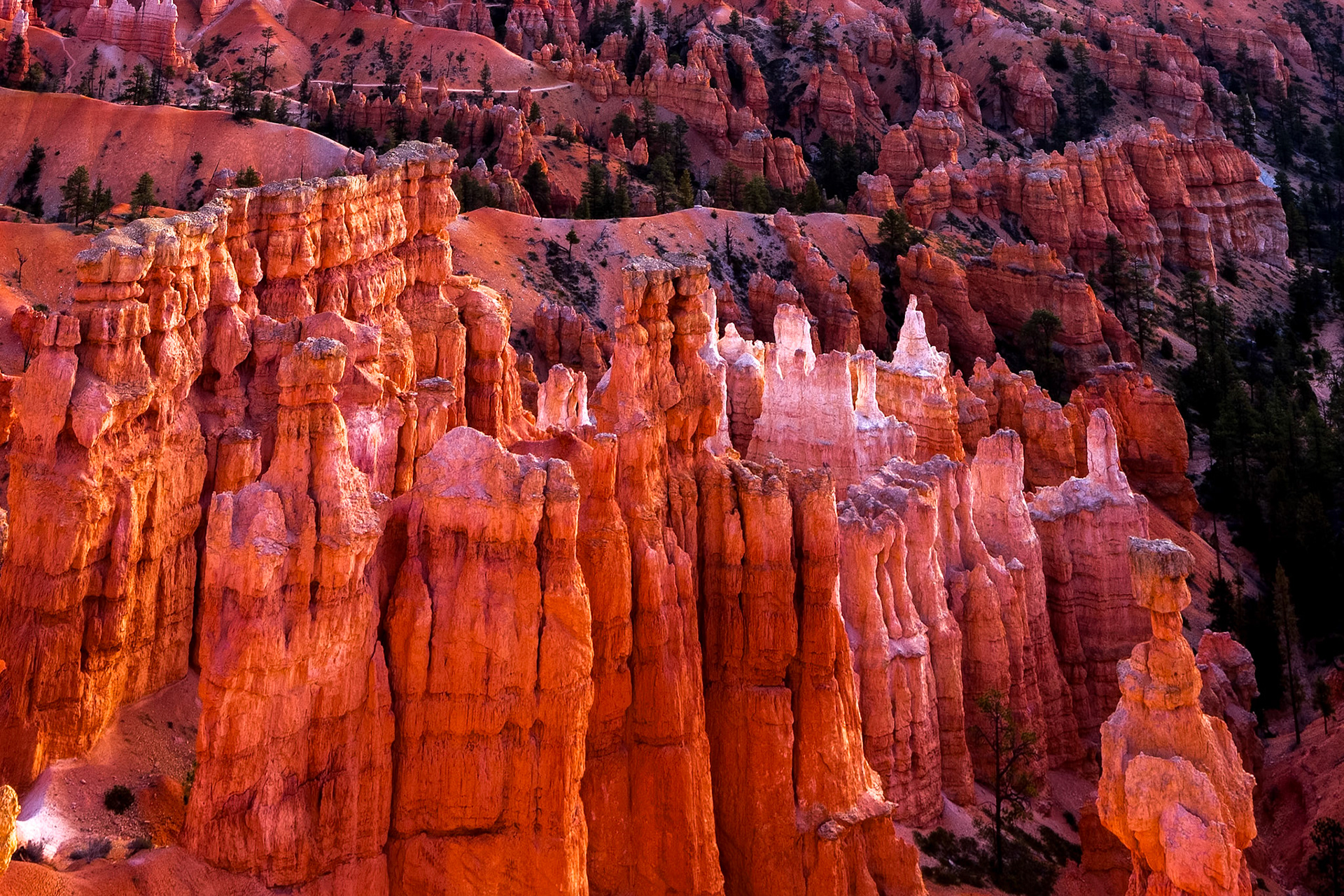 Scenic view of Bryce Canyon
