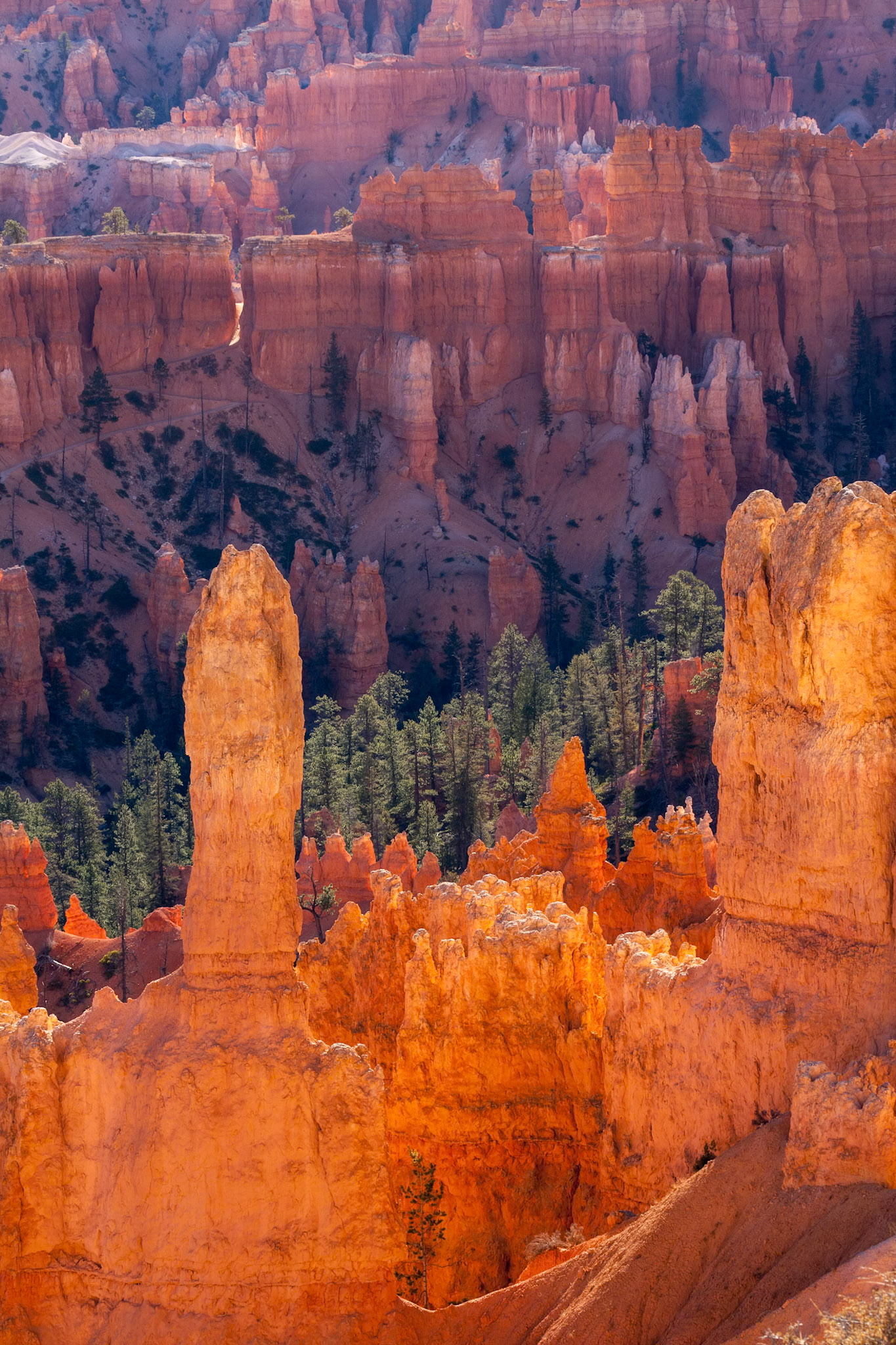 Scenic View of Bryce Canyon