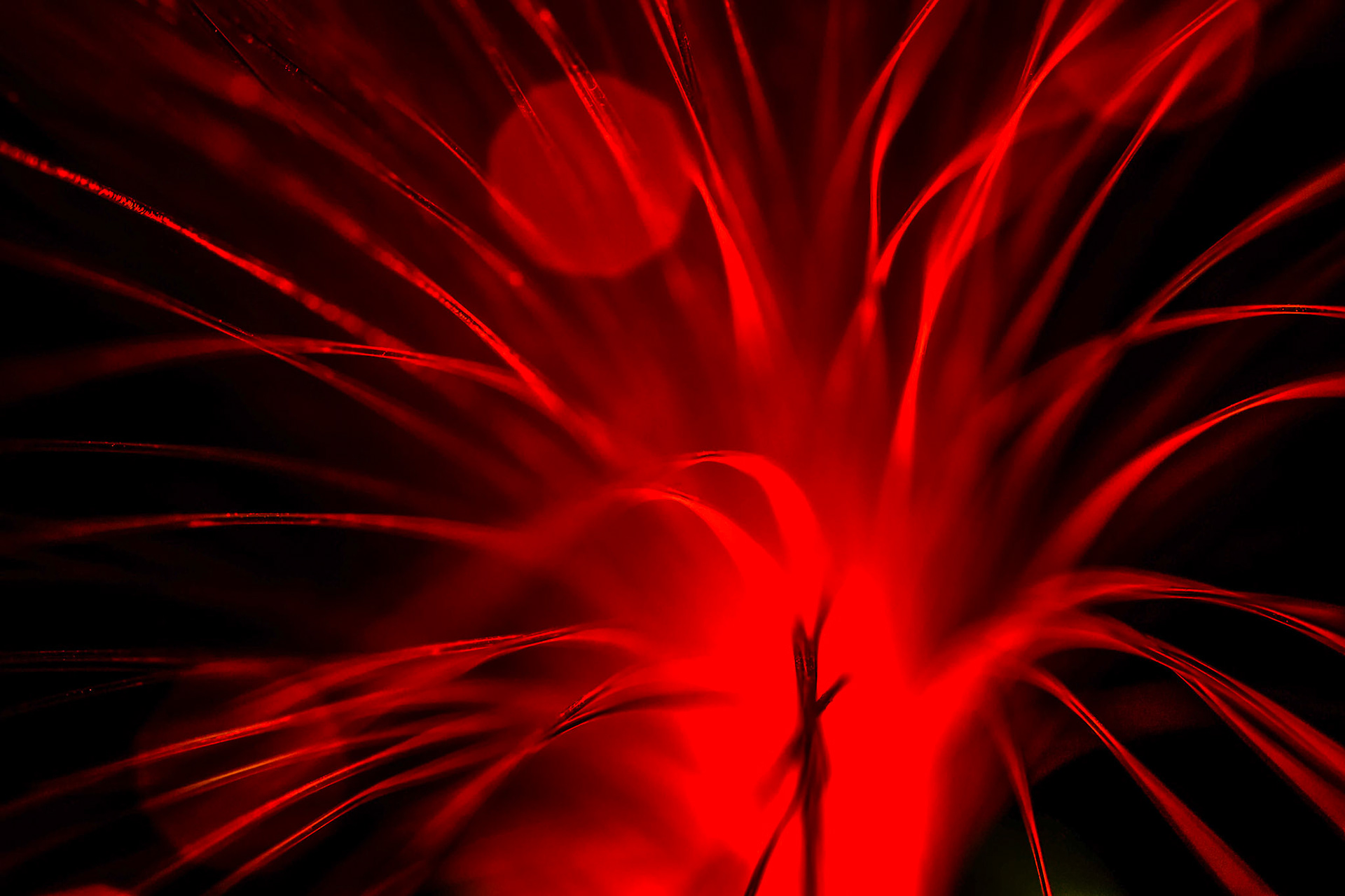 Fibre Optic Abstract