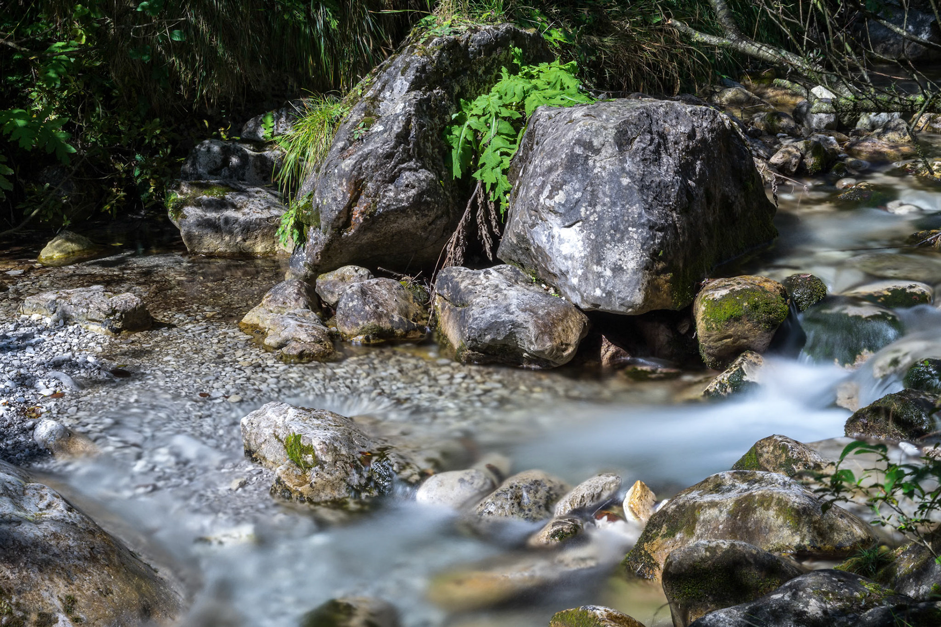 Tiny Rapids at the Val Vertova Torrent Lombardy near Bergamo in Italy