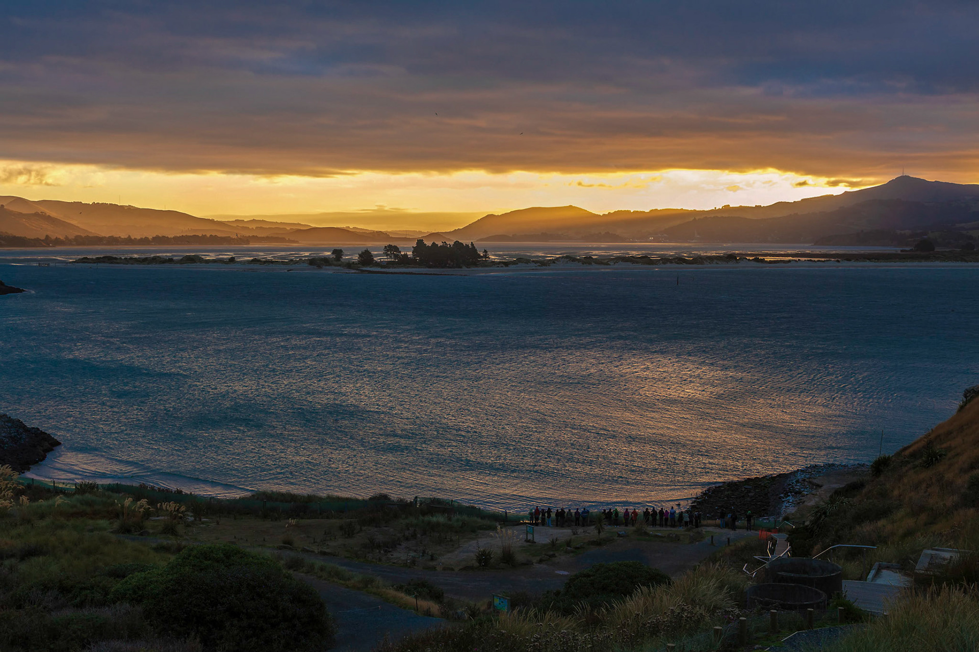 Waiting for the Penguins to Arrive