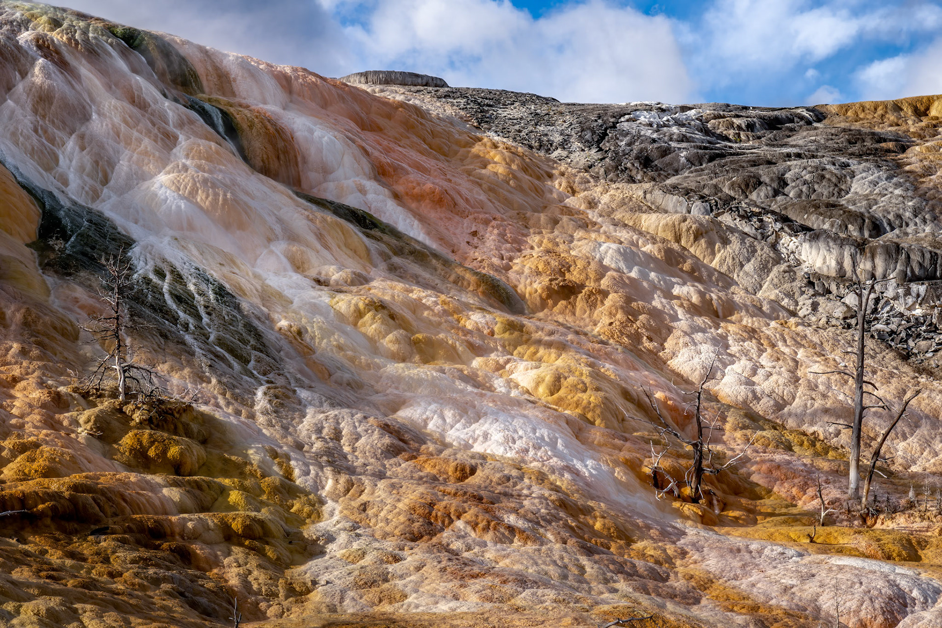 Mammoth Hot Springs in Yellowstone National Park