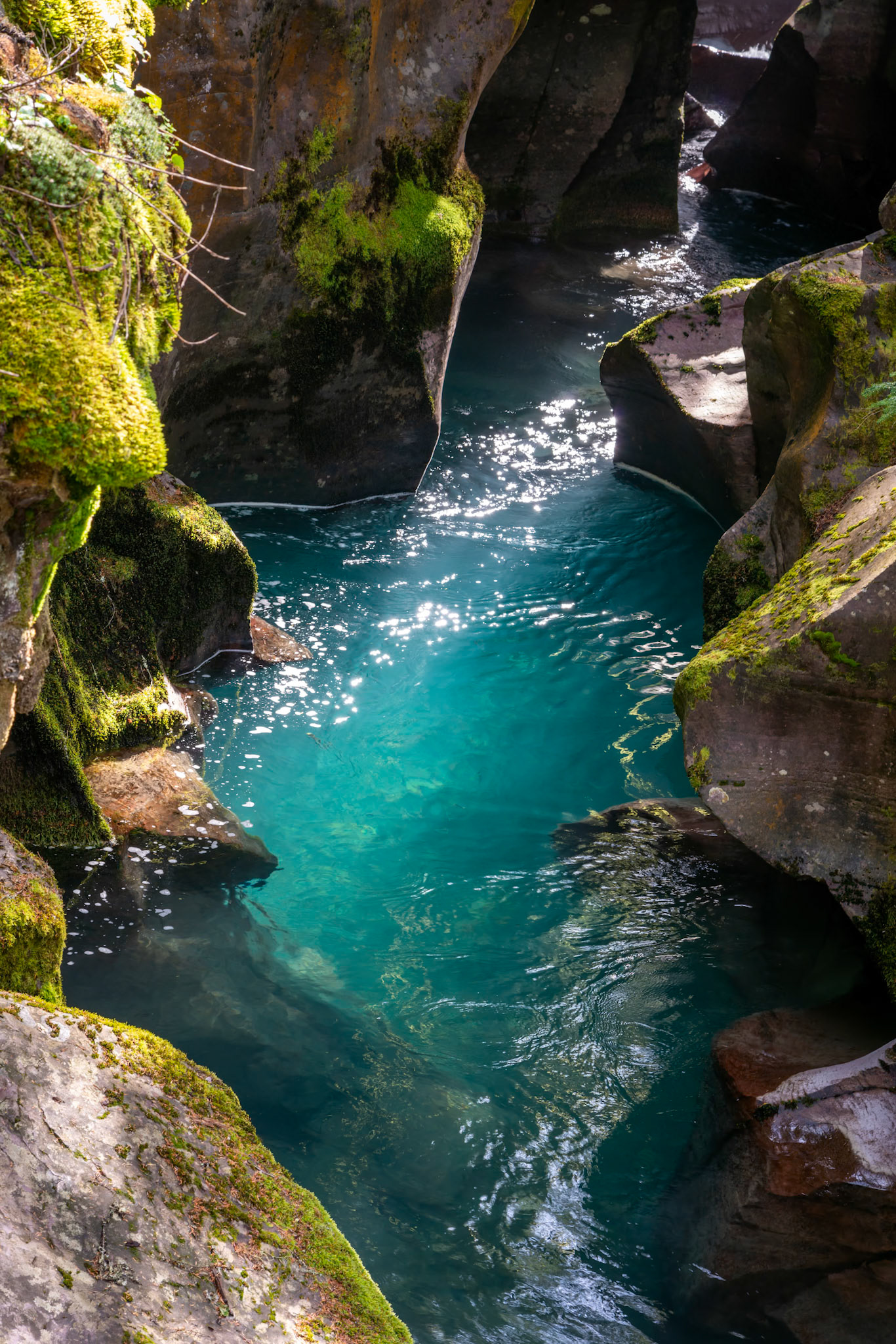 Avalanche Creek