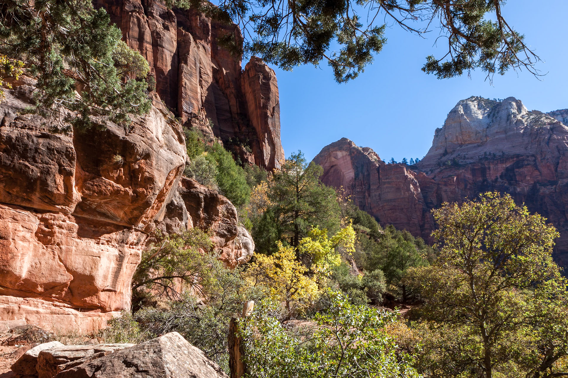 Autumn in Zion National Park