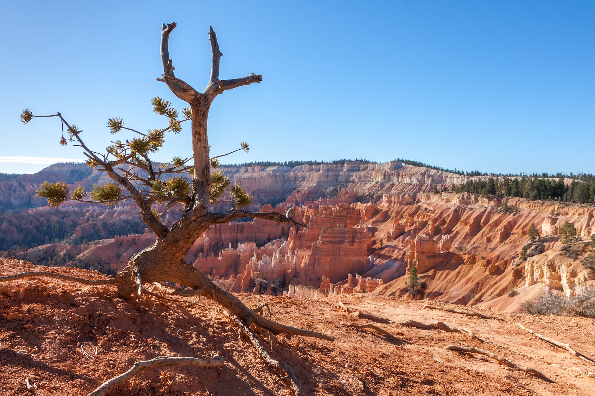 Scenic View of Bryce Canyon