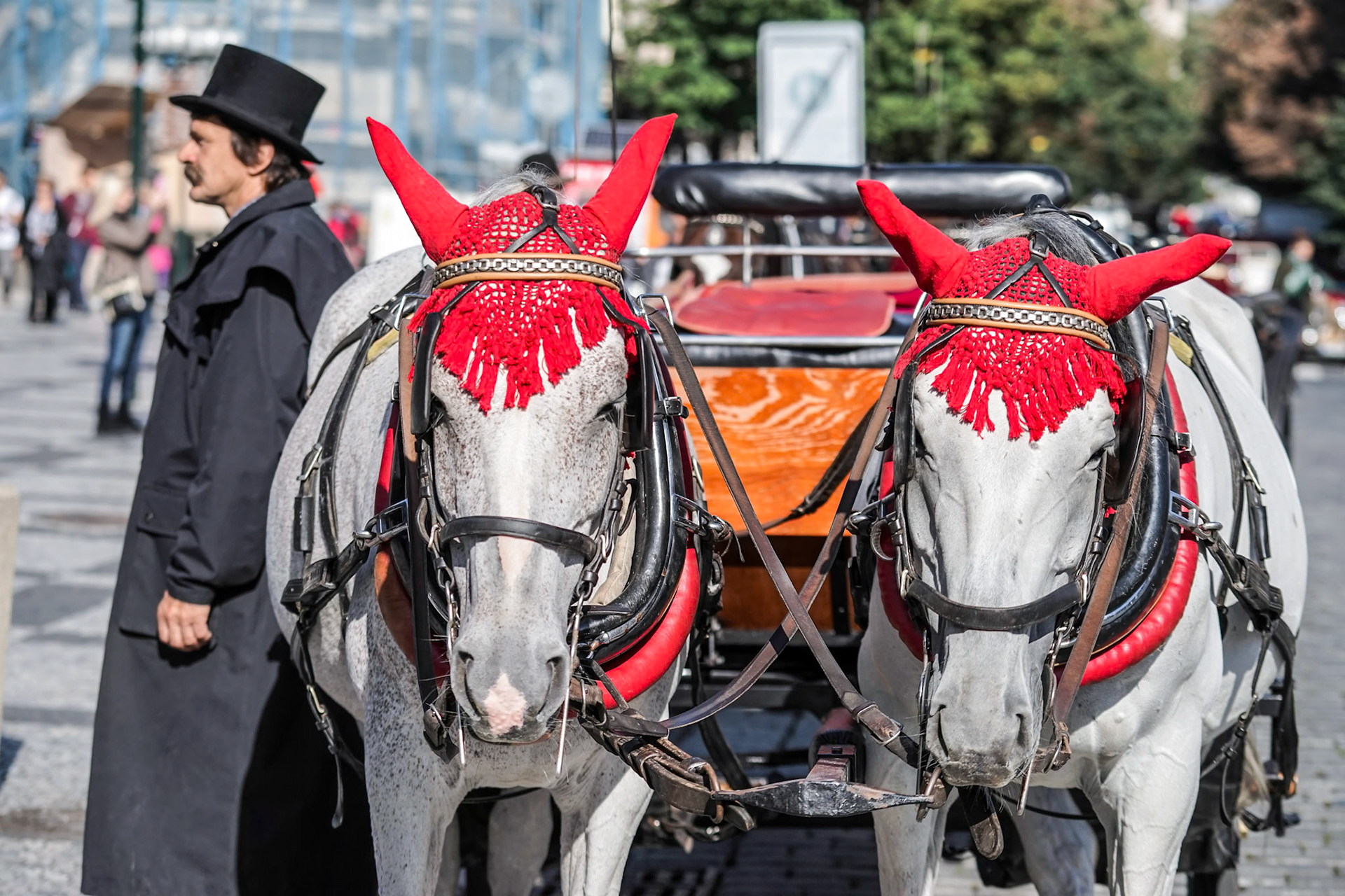 Horse and Carriage in the Old Town Square in Prague