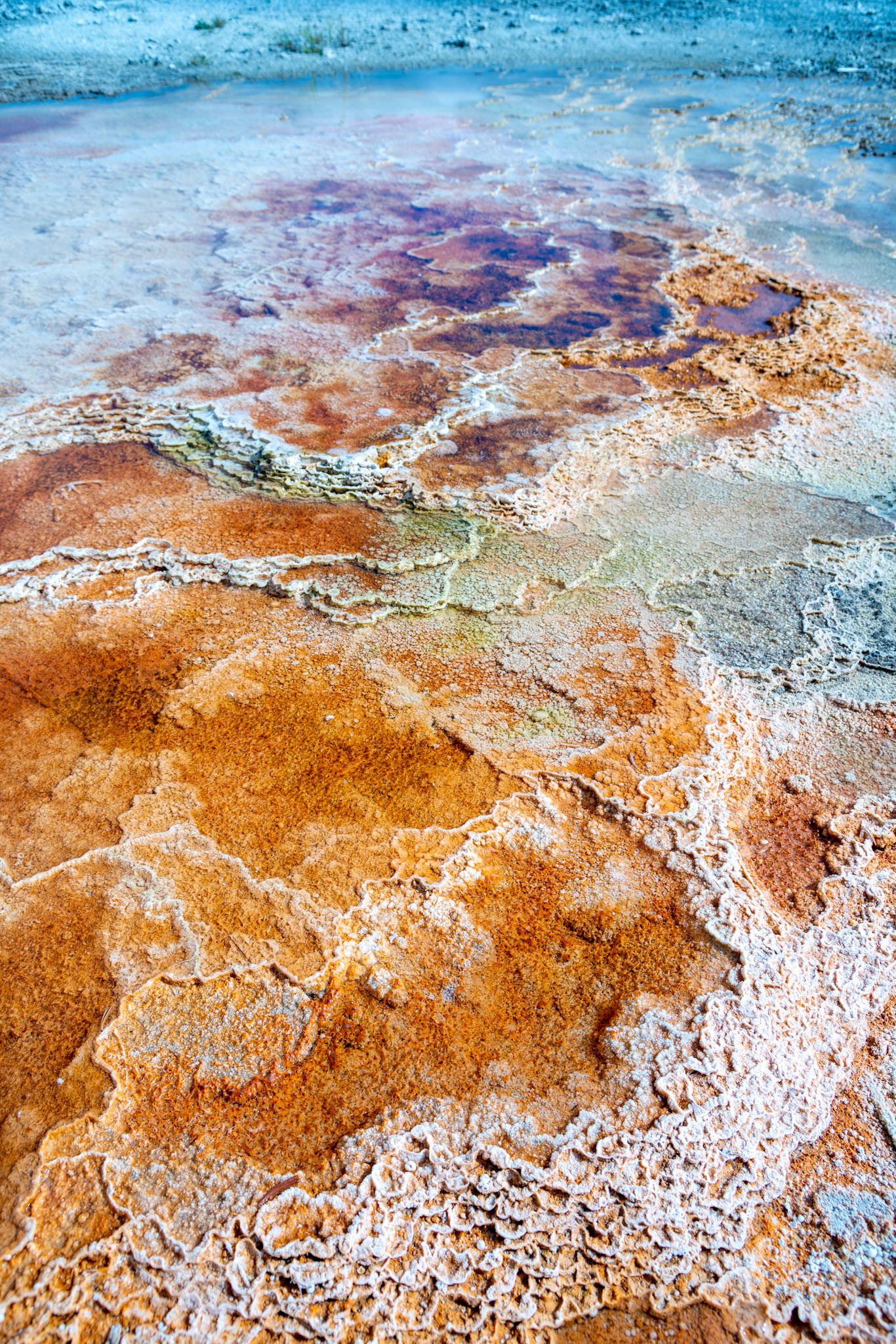 Landscape of Mammoth Hot Springs in Yellowstone National Park
