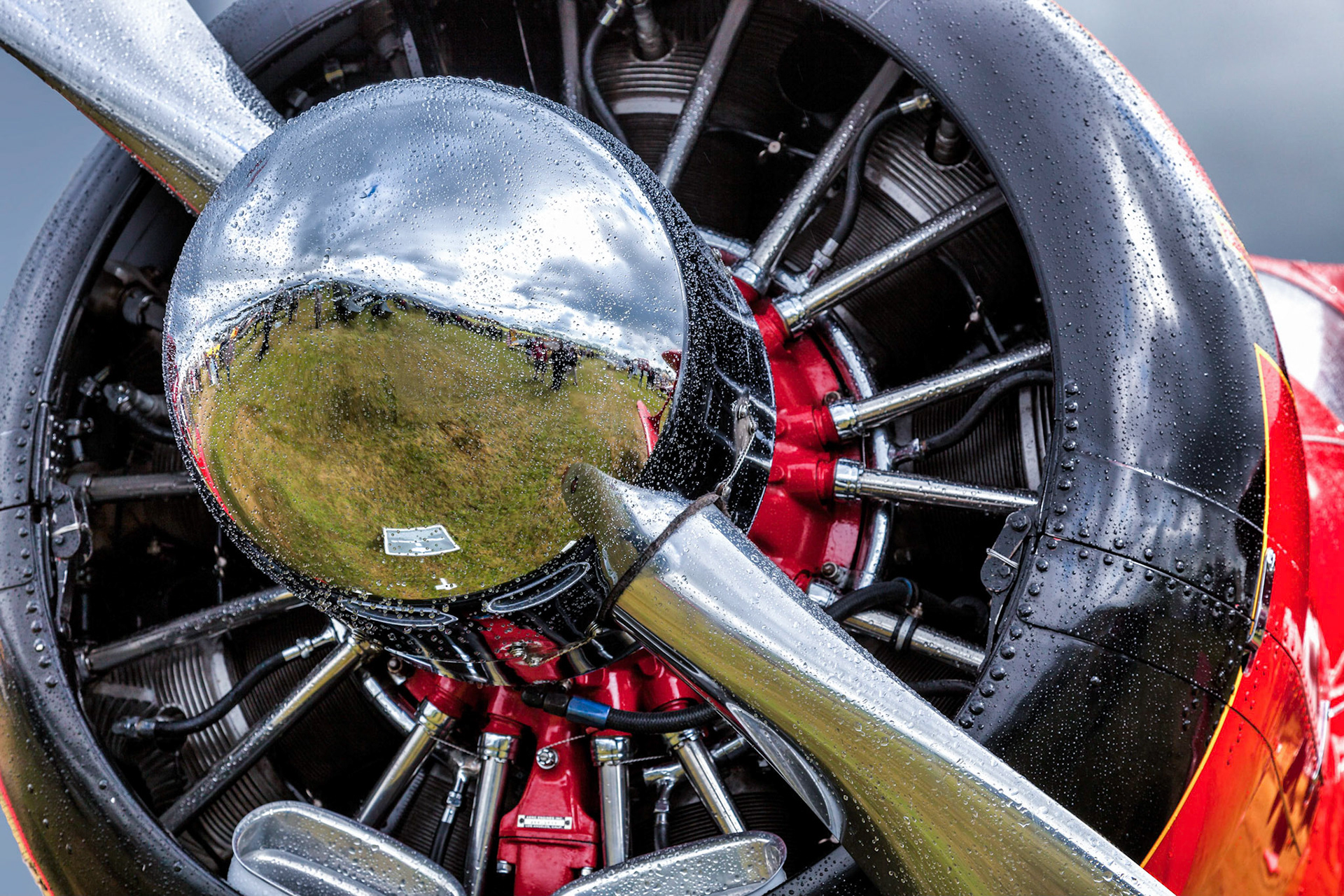 Close up of the Red Rockette