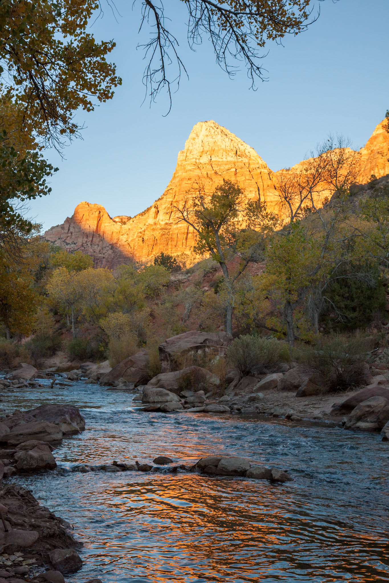 The Watchman in Zion National Park