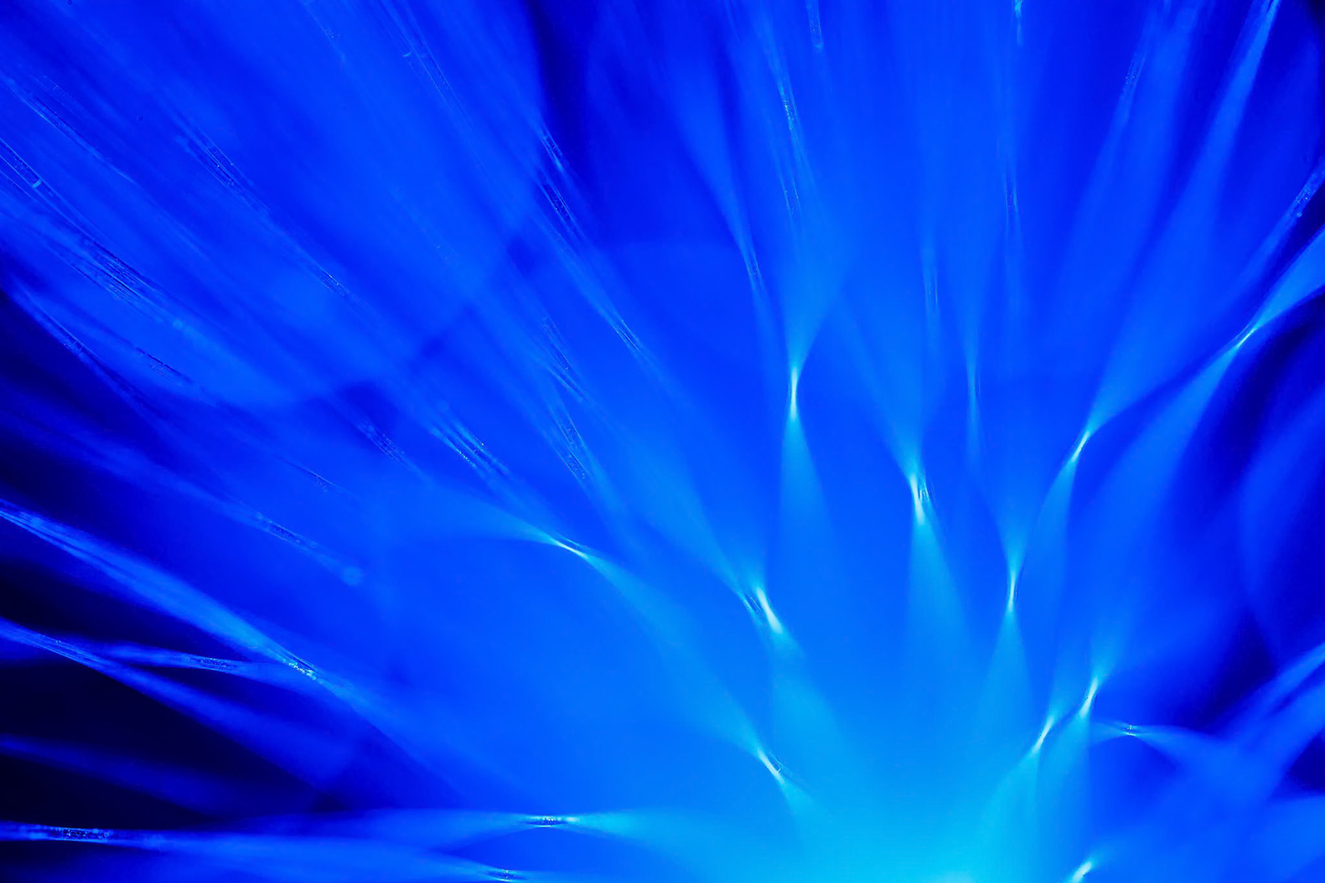 Fibre Optic Abstract