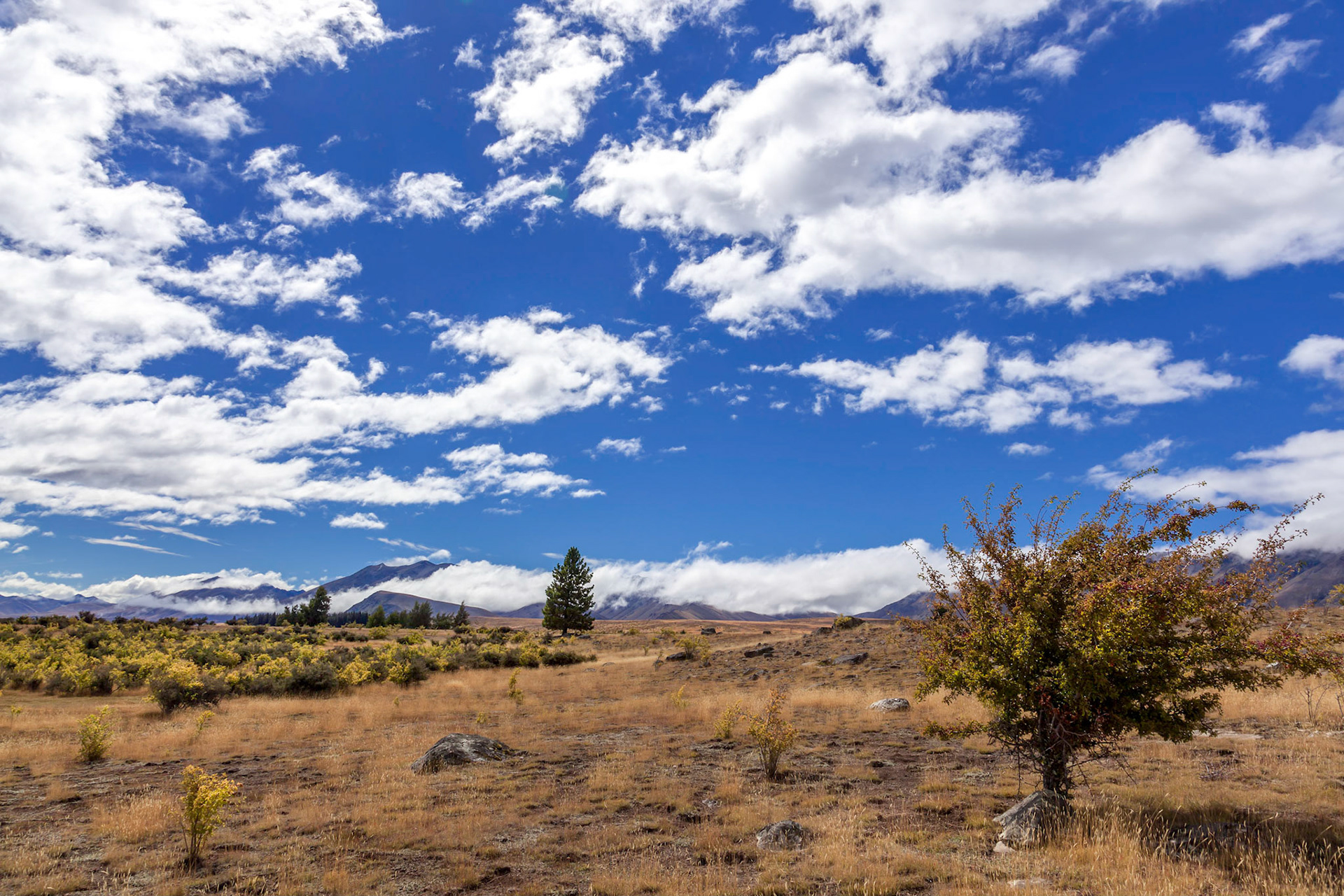 Land alongside Lake Tekapo
