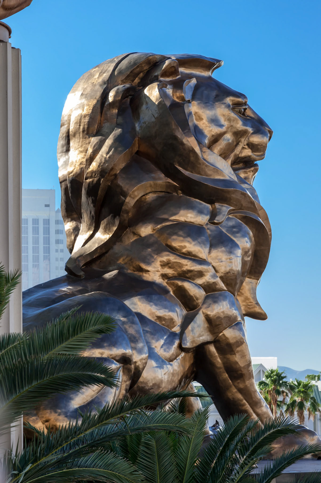 MGM Lion
