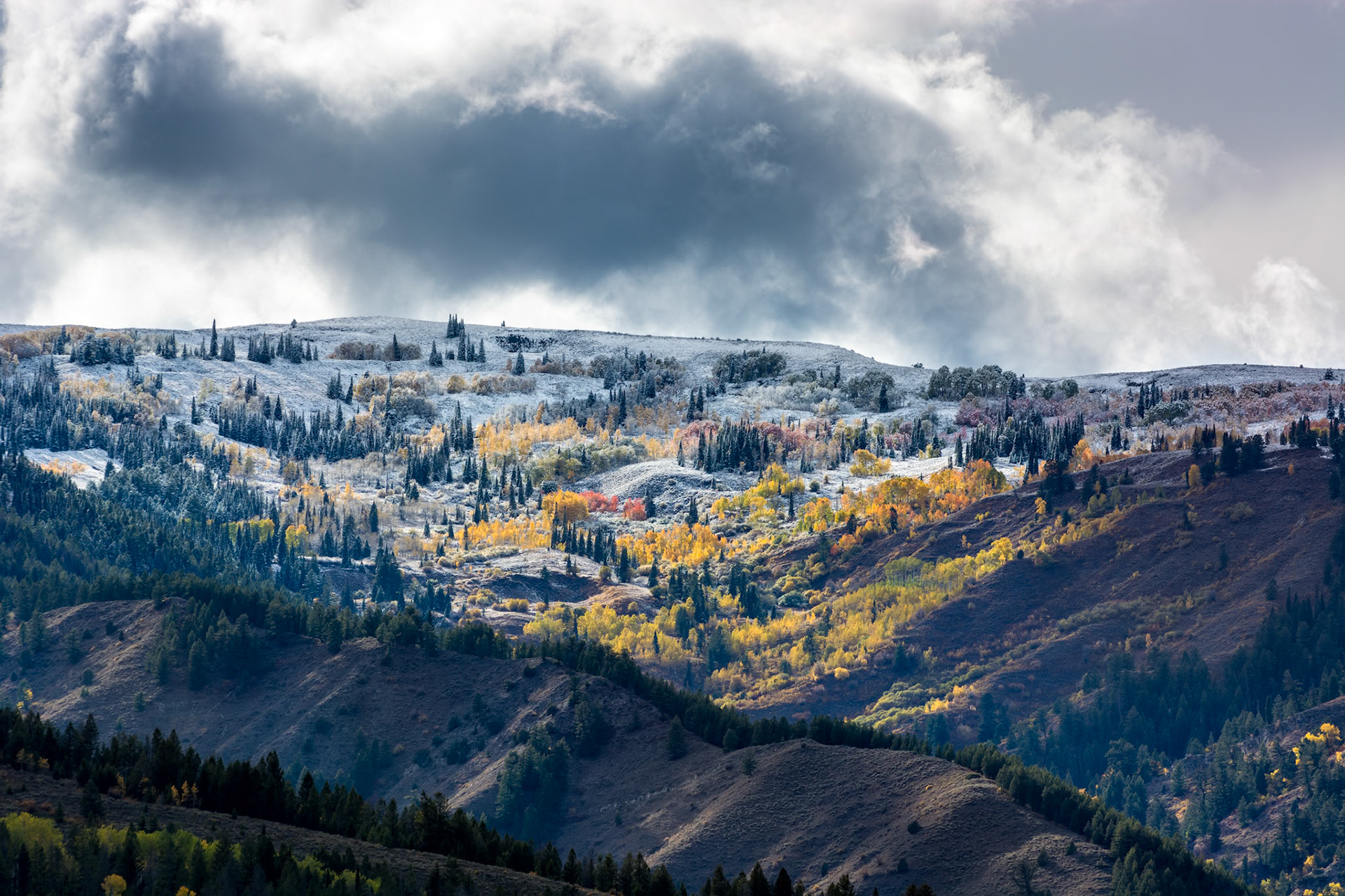 Autumn Colours in Wyoming
