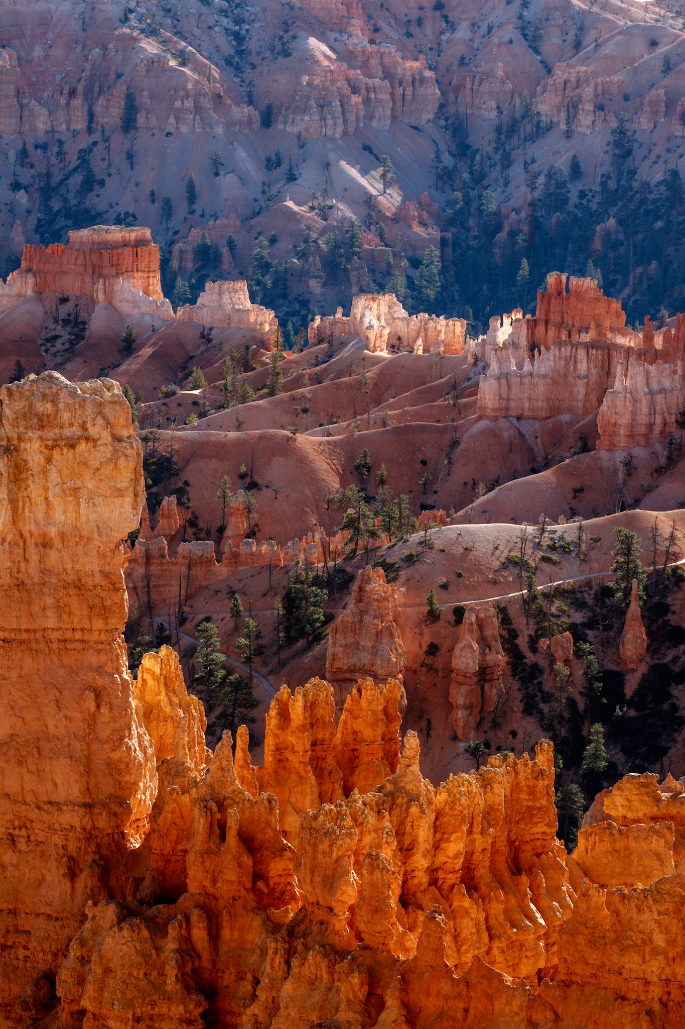 Another Perfect Day in Bryce Canyon
