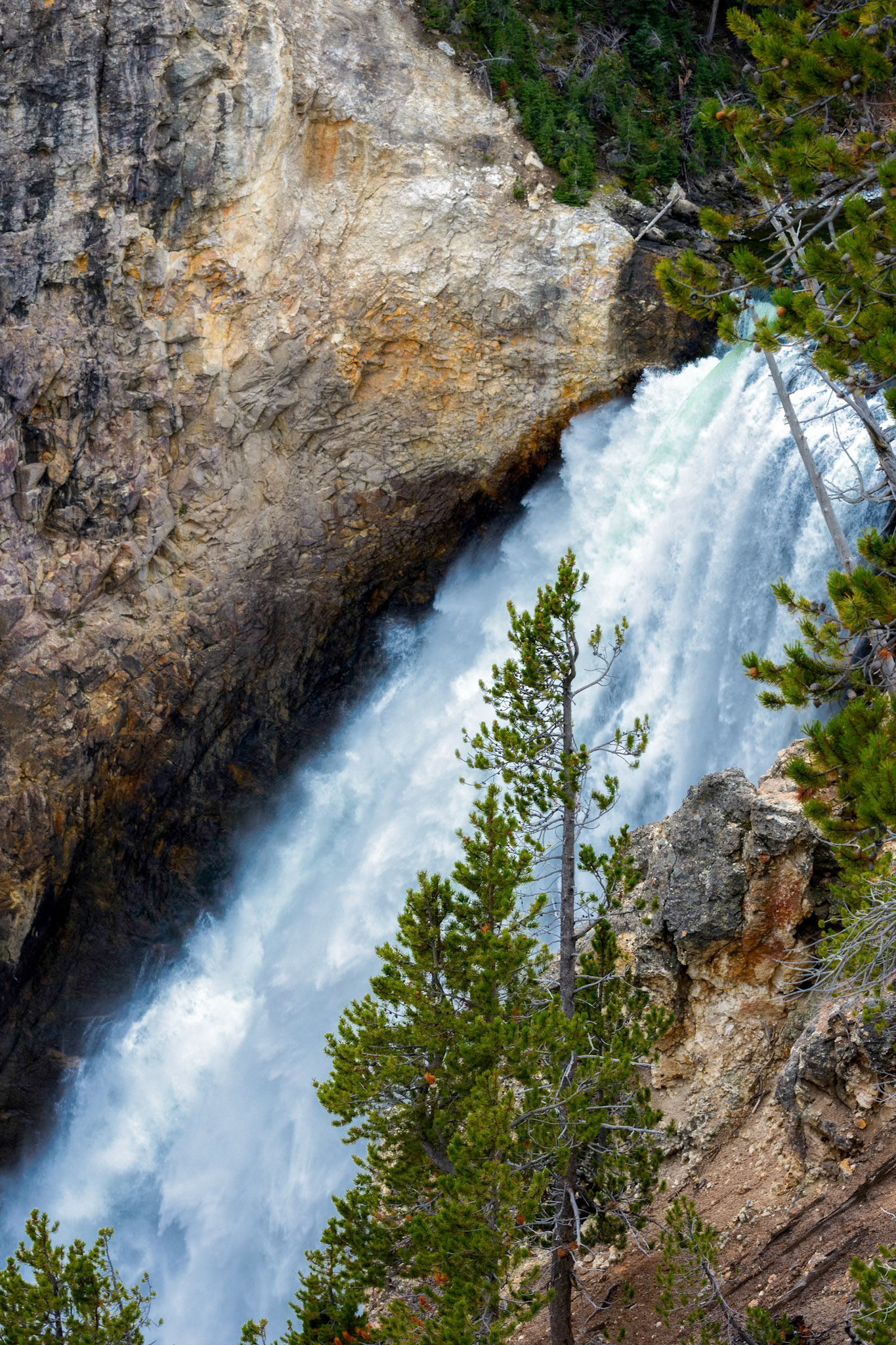 Lower Yellowstone Falls
