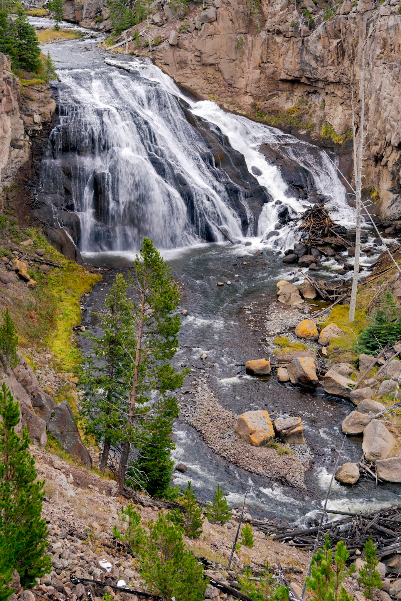 View of Gibbon Falls in Yellowstone National Park