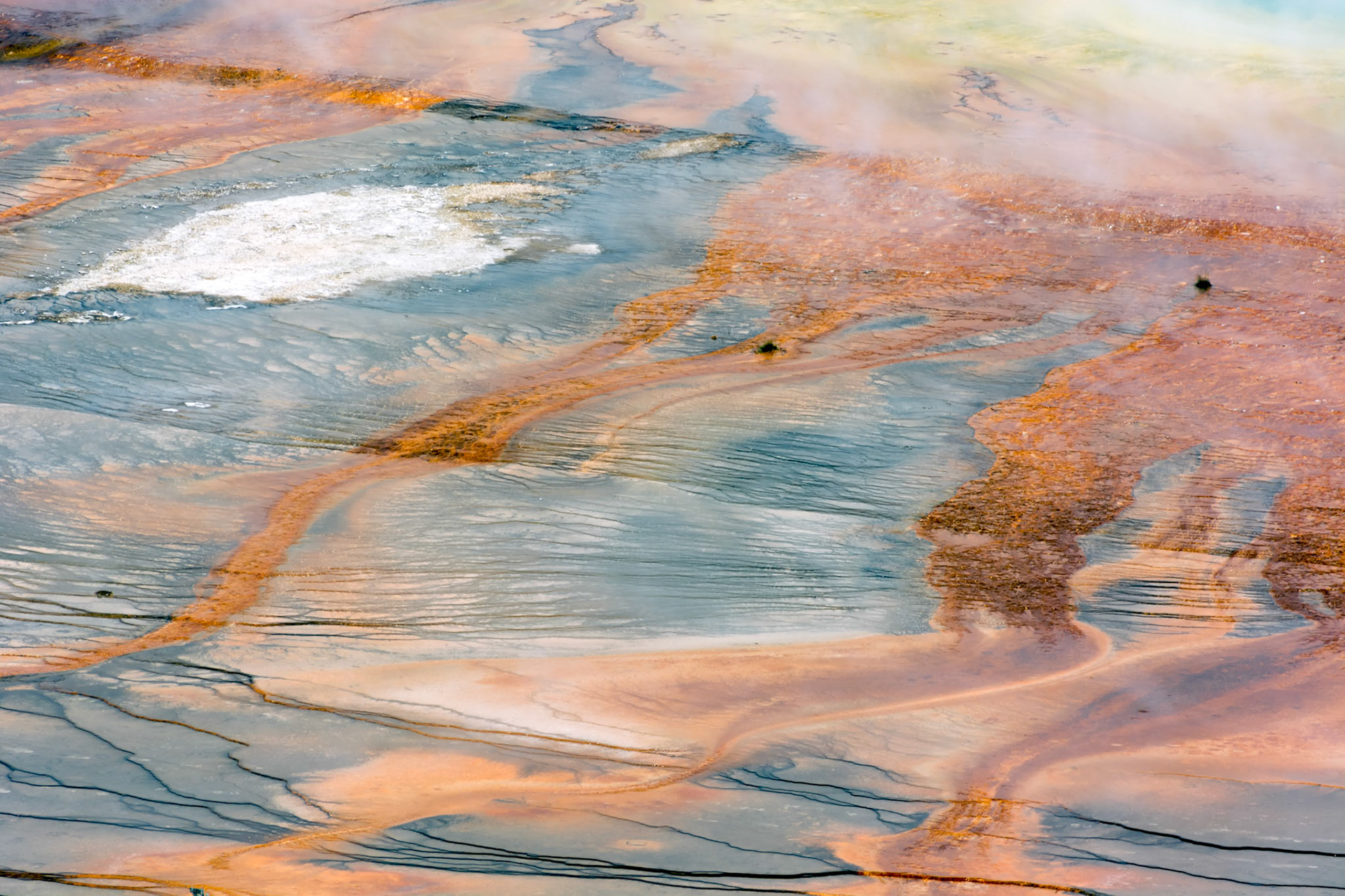 View of the Grand Prismatic Spring