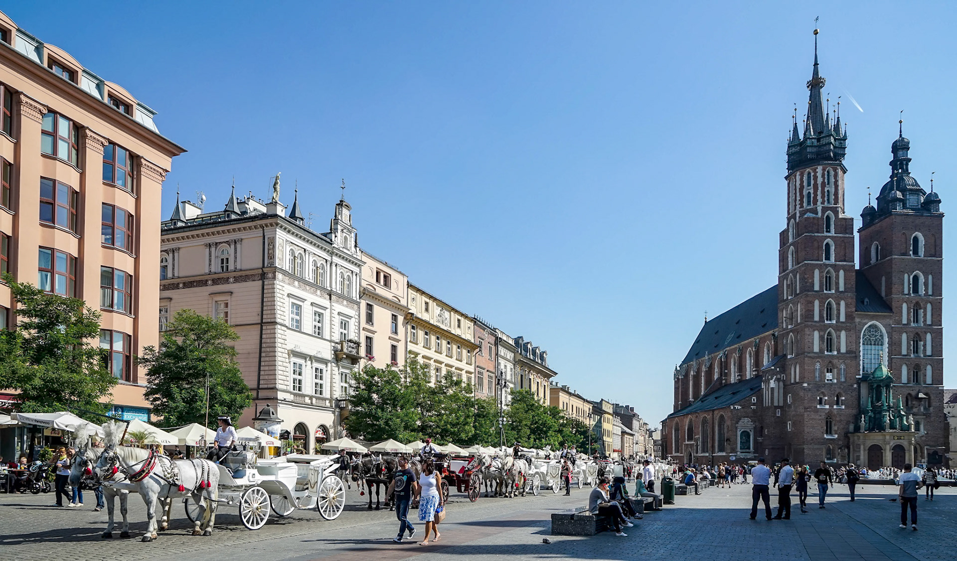 Carriage and Horses in Krakow
