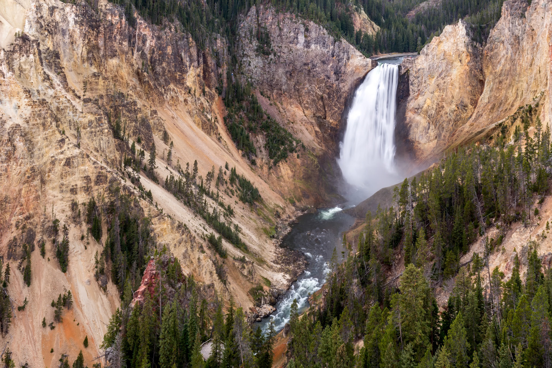 Lower Yellowstone Falls