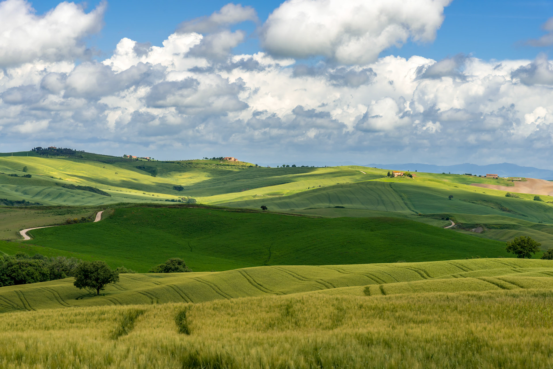 PIENZA, TUSCANY/ITALY - MAY 20 : Farmland near Pienza in Tuscany on May 20, 2013