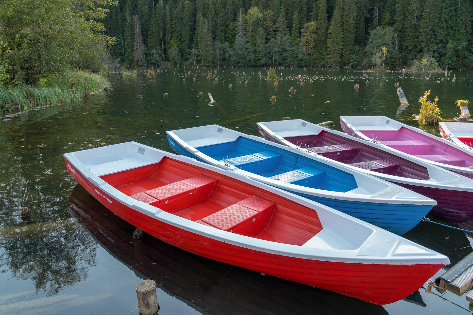RED LAKE, EASTERN CARPATHIANS/ROMANIA - SEPTEMBER 19 : Rowing boats moored at the Red Lake in the Eastern Carpathians Romania on September 19, 2018
