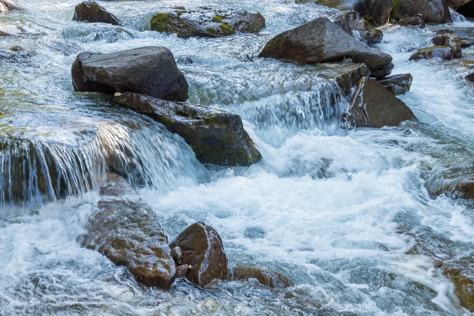 View of the river or torrent in the Natural Park of Paneveggio Pale di San Martino in Tonadico, Trentino, Italy