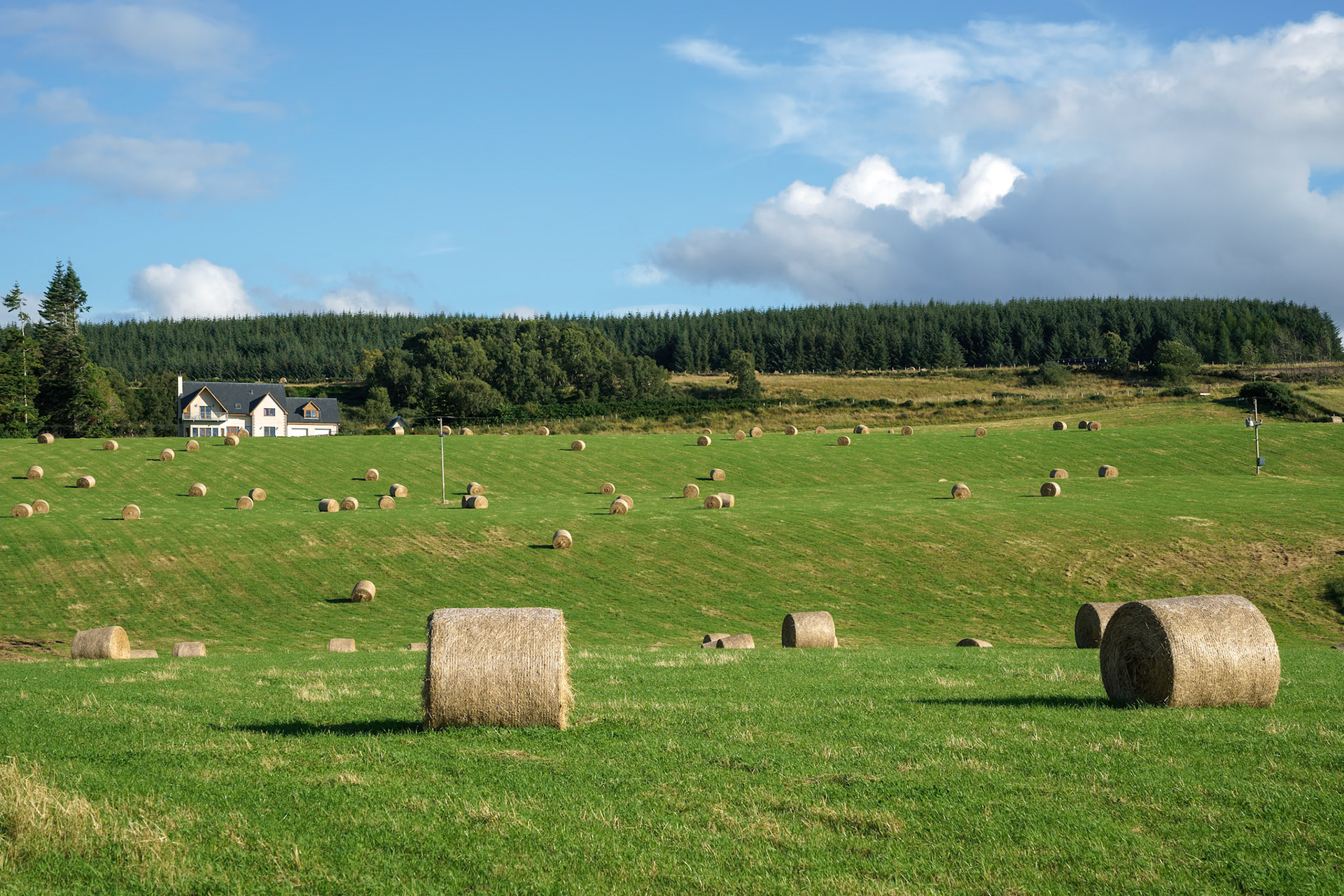 Farm near Culloden