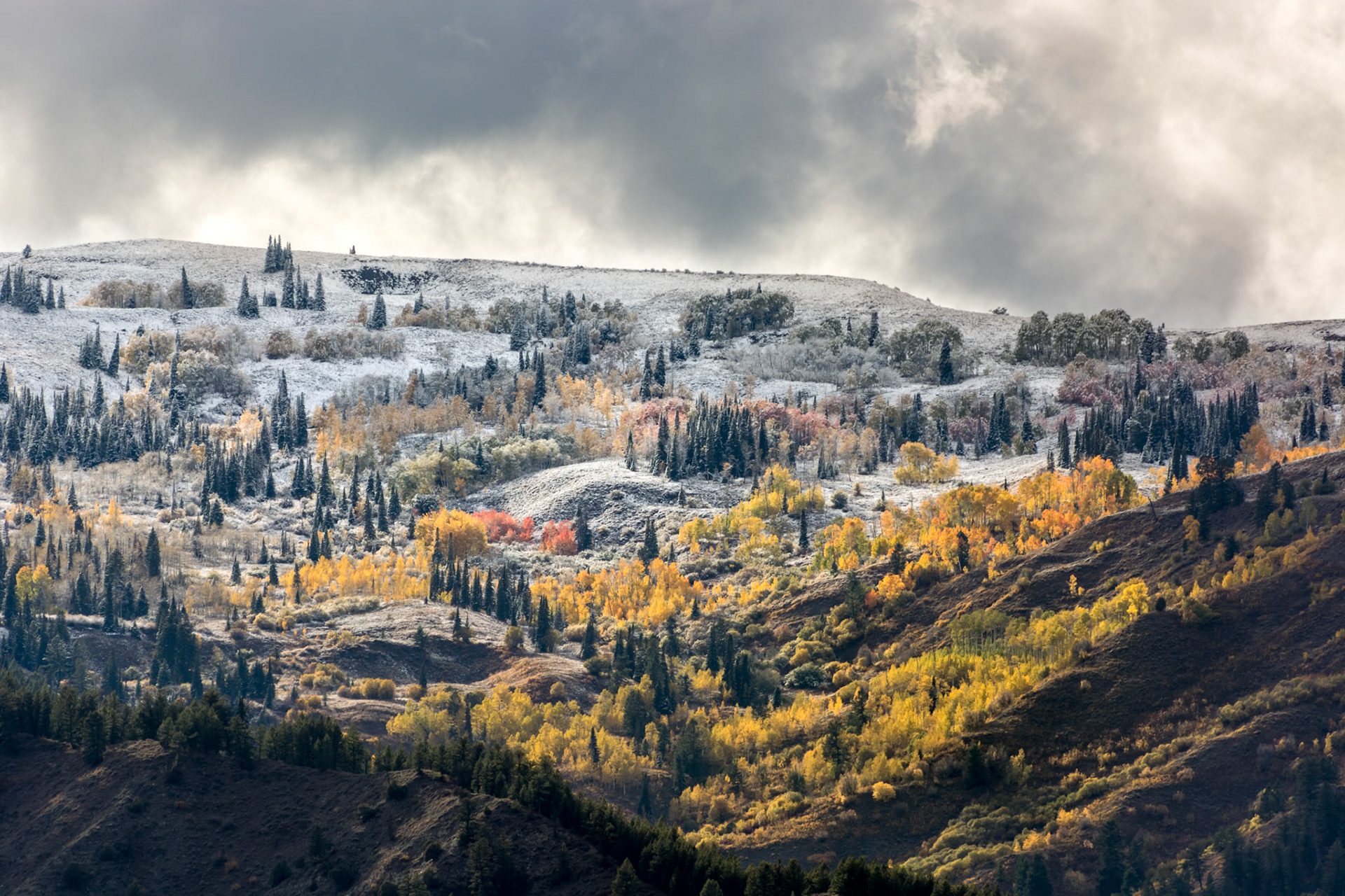Autumn Colours in Wyoming