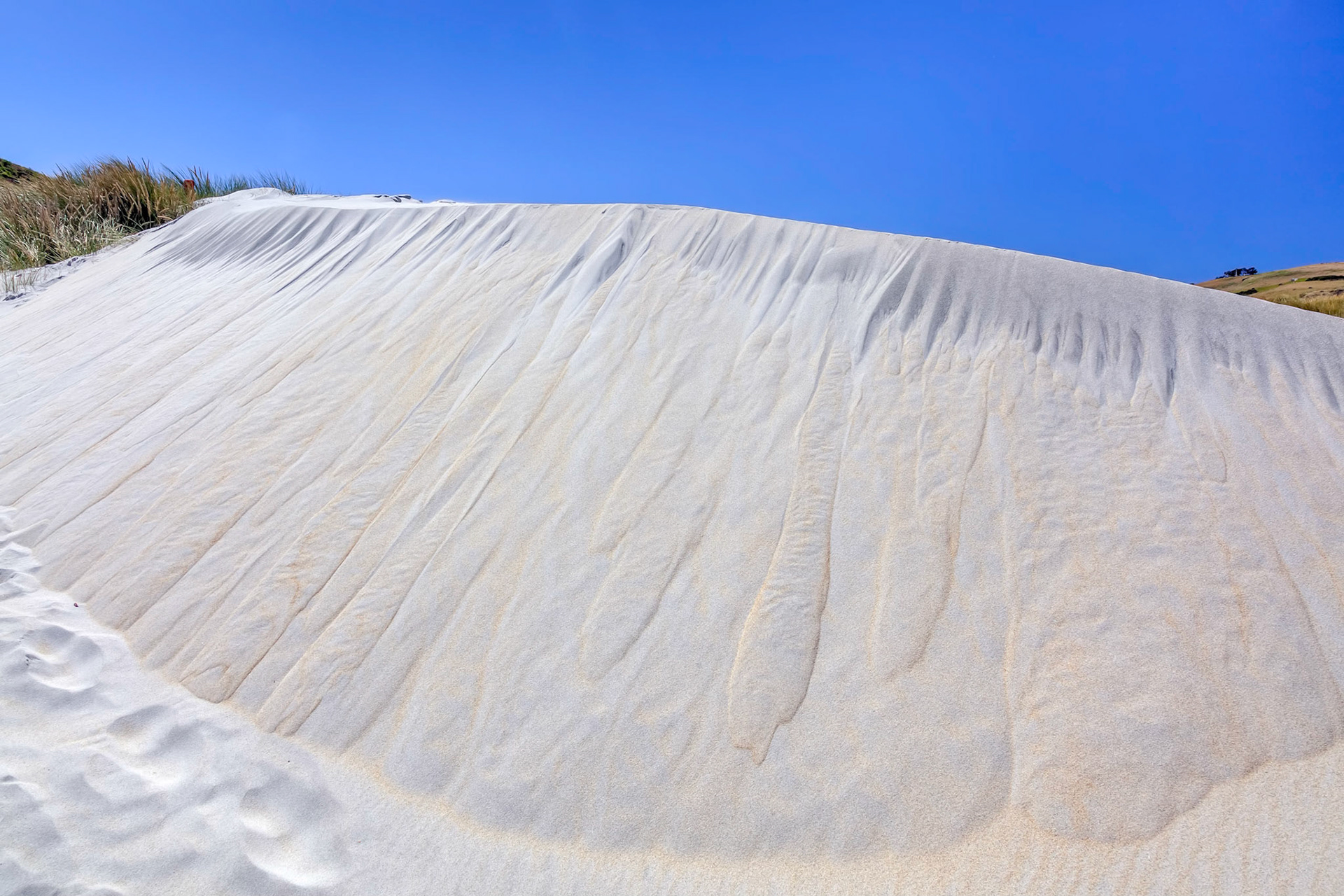 A spectacular sand dune at Sandfly Bay
