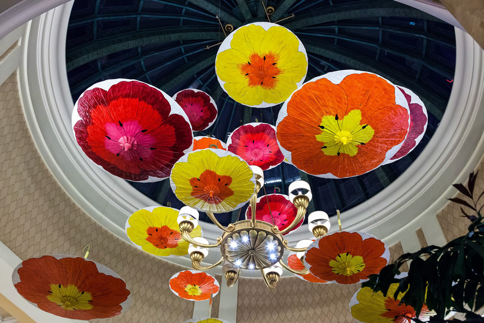 Brightly Coloured Parasols Hanging from the Ceiling
