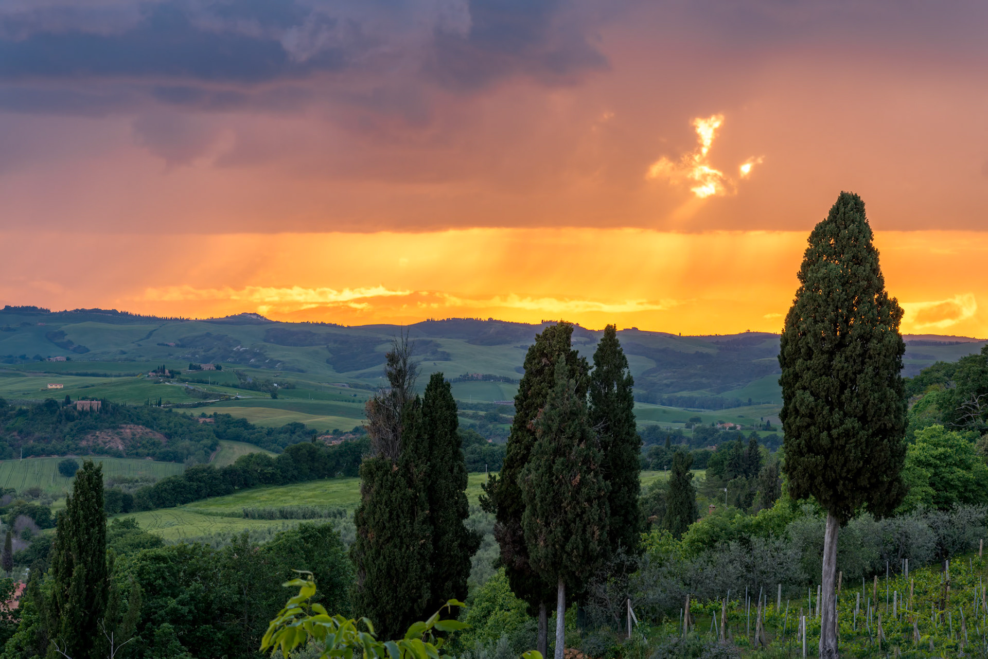 VAL D'ORCIA, TUSCANY, ITALY - MAY 17 : Sunset in Val d'Orcia,  Tuscany on May 17, 2013