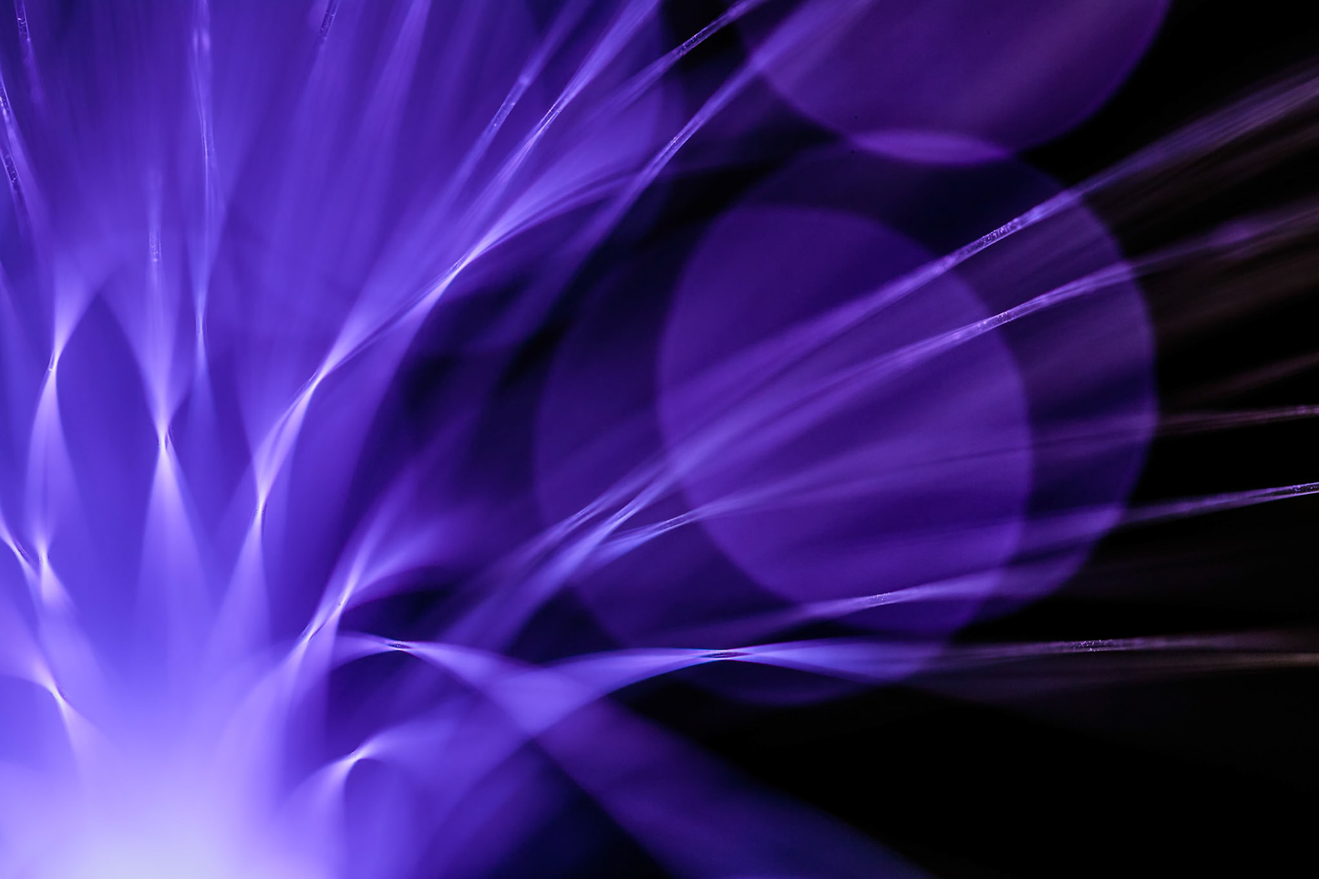 Fibre Optic Abstract