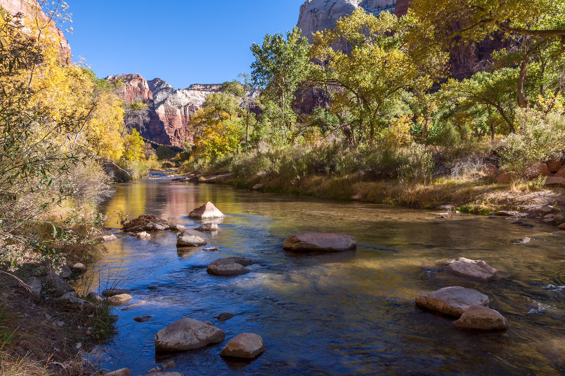 Virgin River Meandering through the Mountains of Zion