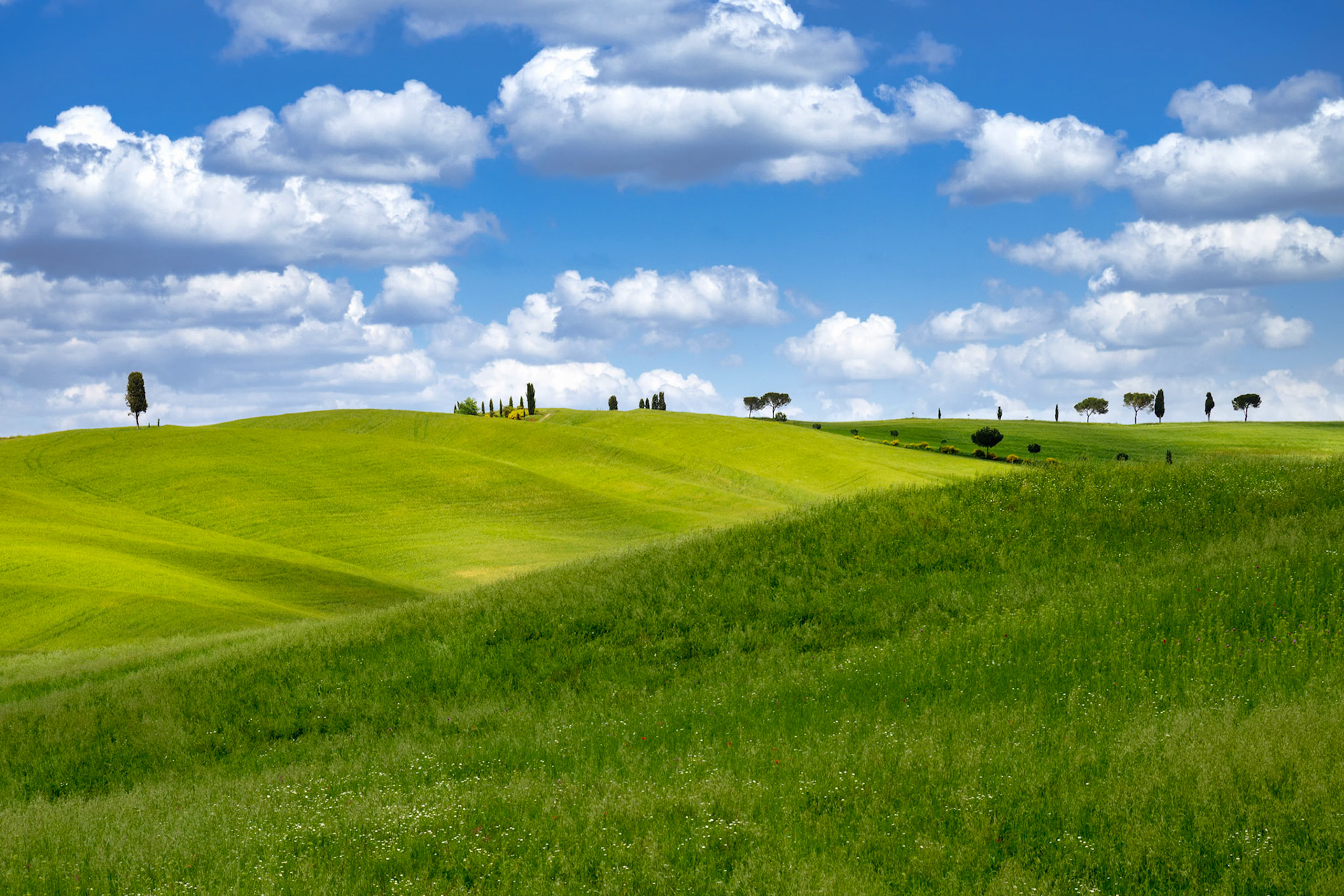 View of the Scenic Tuscan Countryside